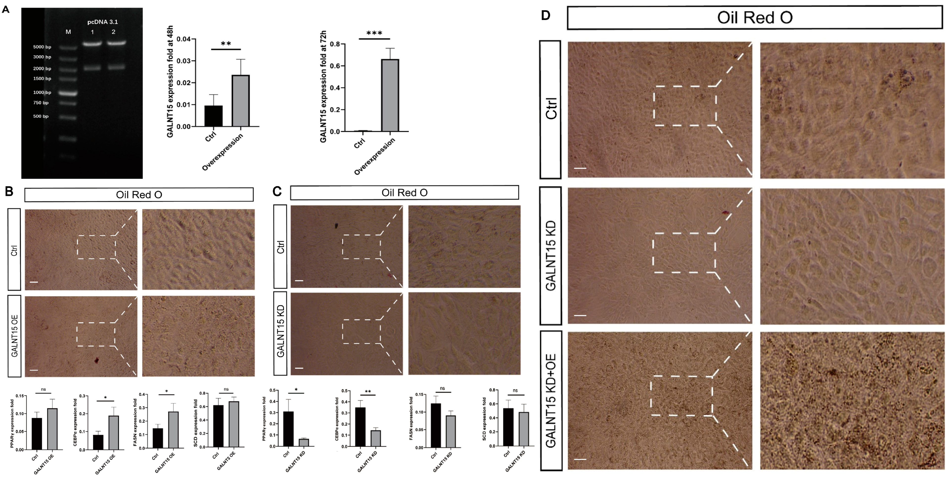 Biomolecules 12 01294 g008 Biomolecules 12 01294 g008