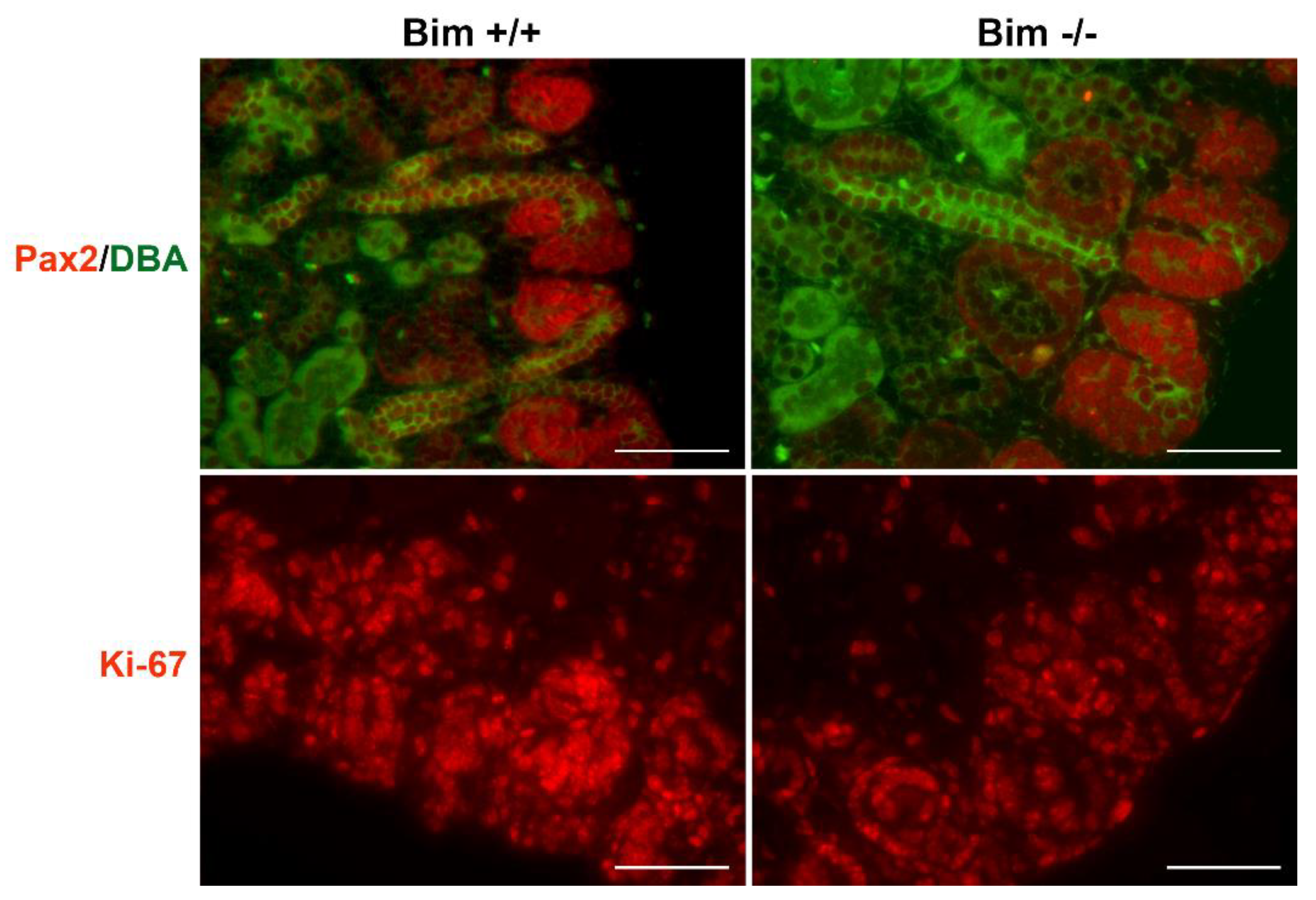 Biomolecules 12 01295 g002