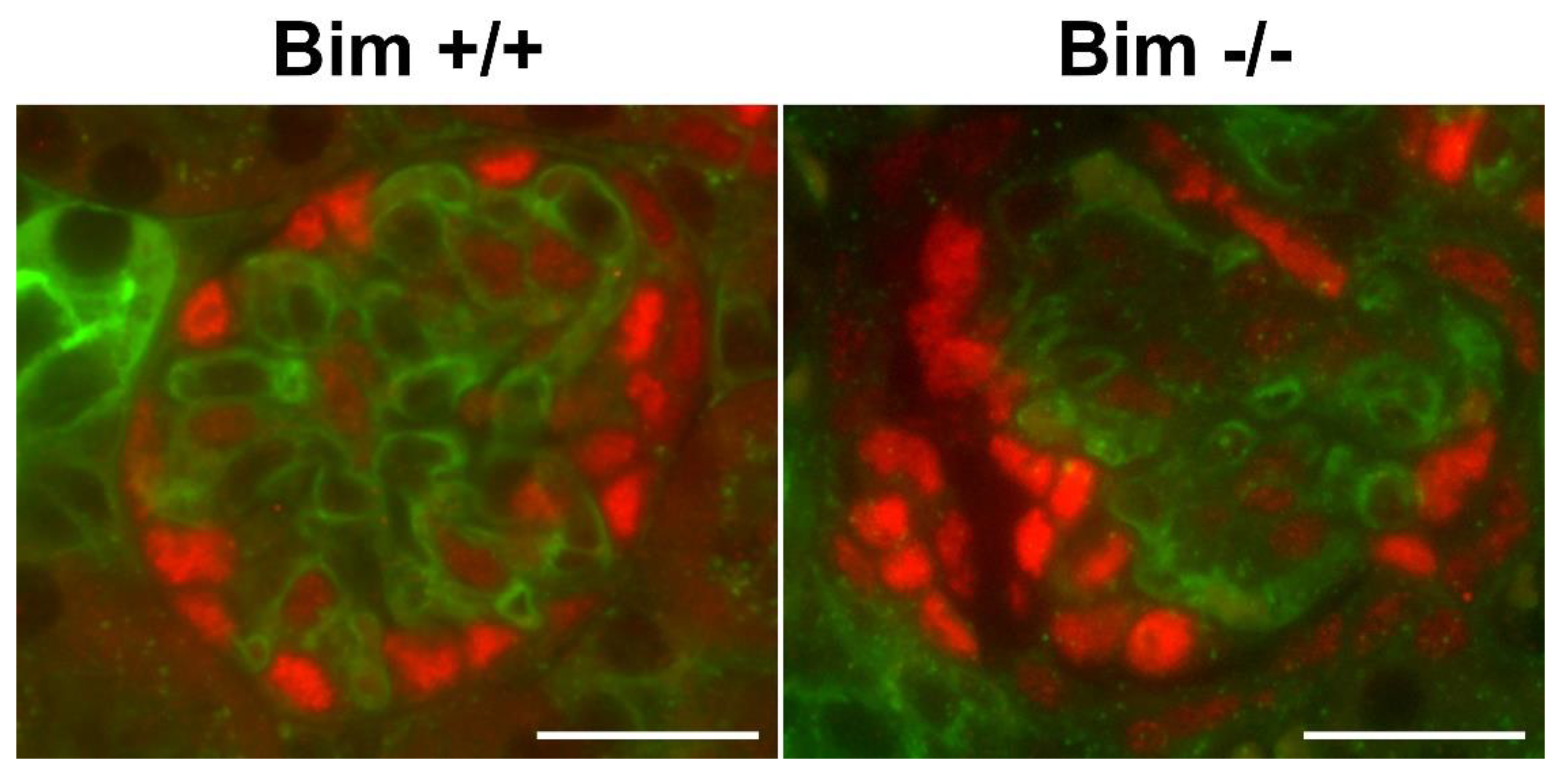 Biomolecules 12 01295 g004