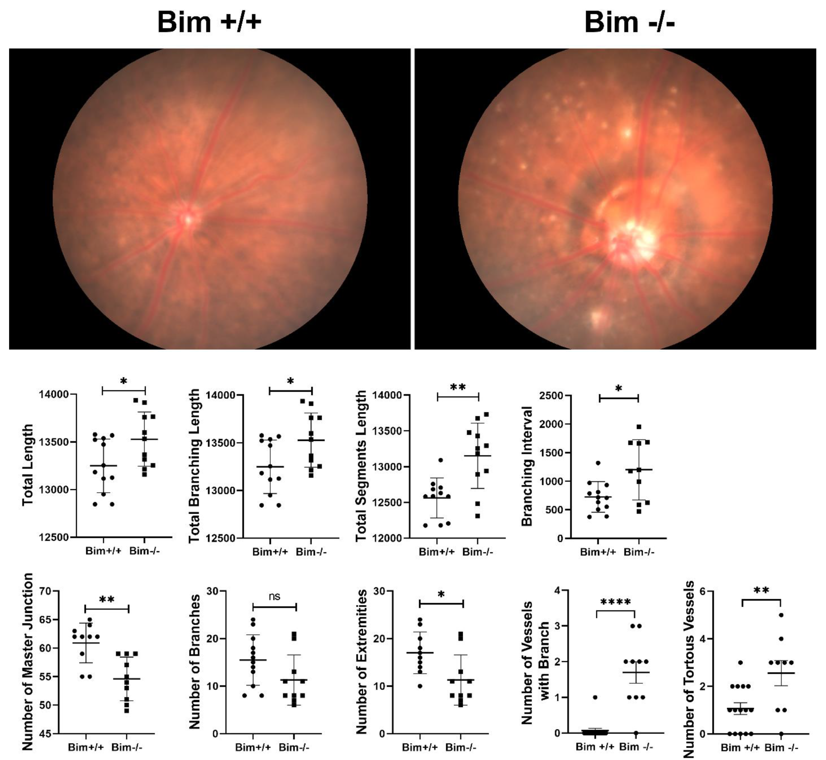 Biomolecules 12 01295 g006