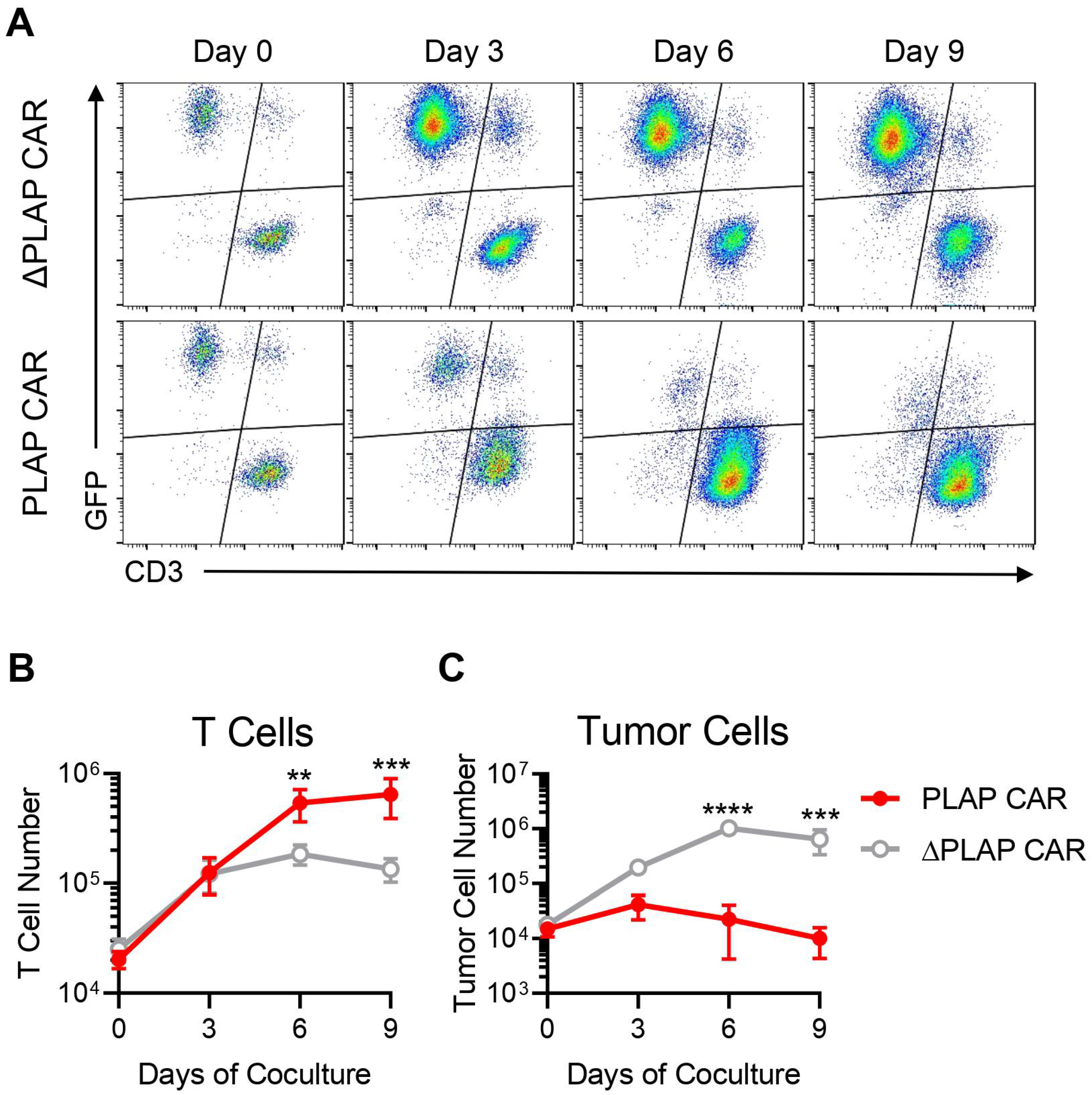 Biomolecules 12 01296 g004 Biomolecules 12 01296 g004
