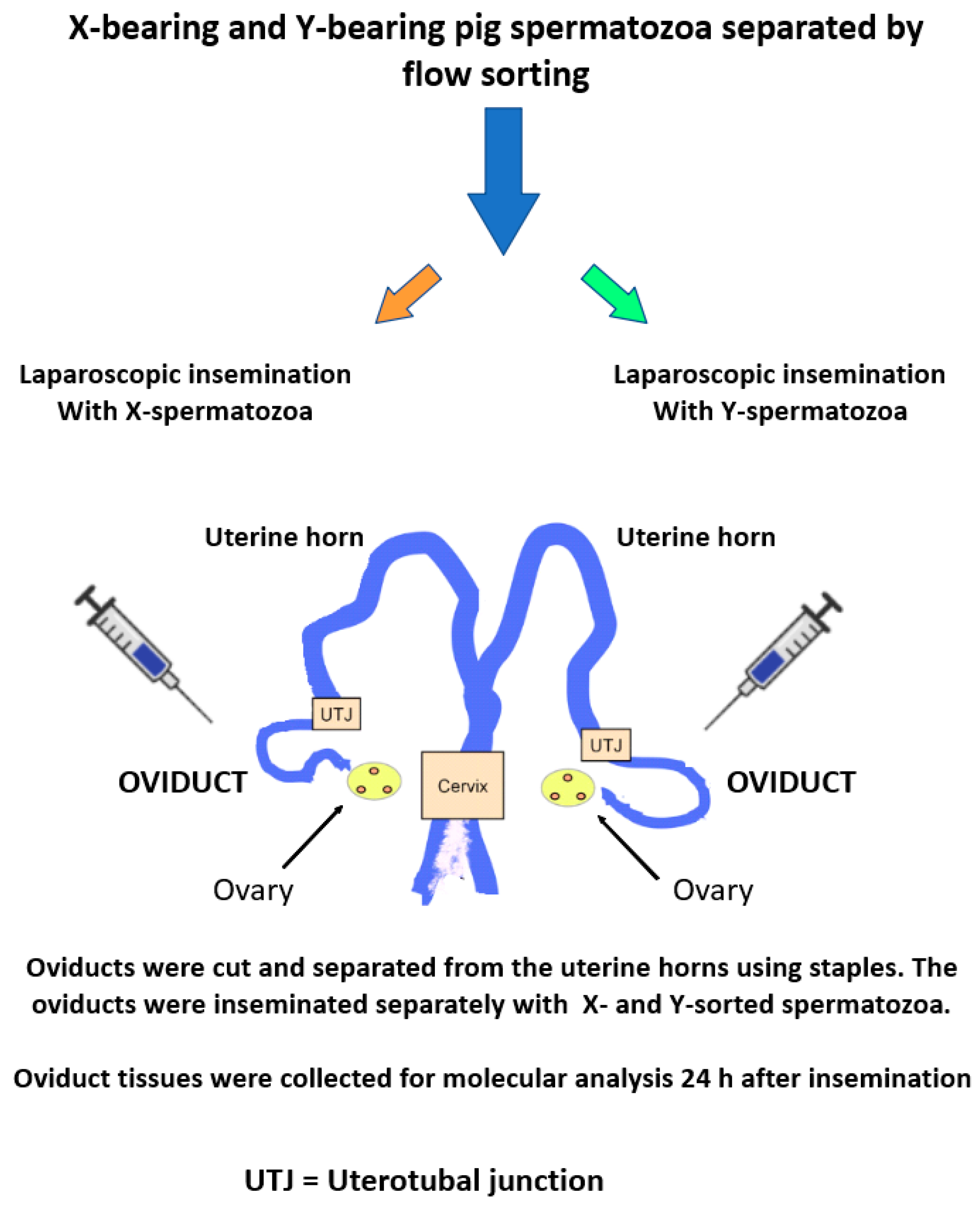 Biomolecules 12 01297 g002 Biomolecules 12 01297 g002