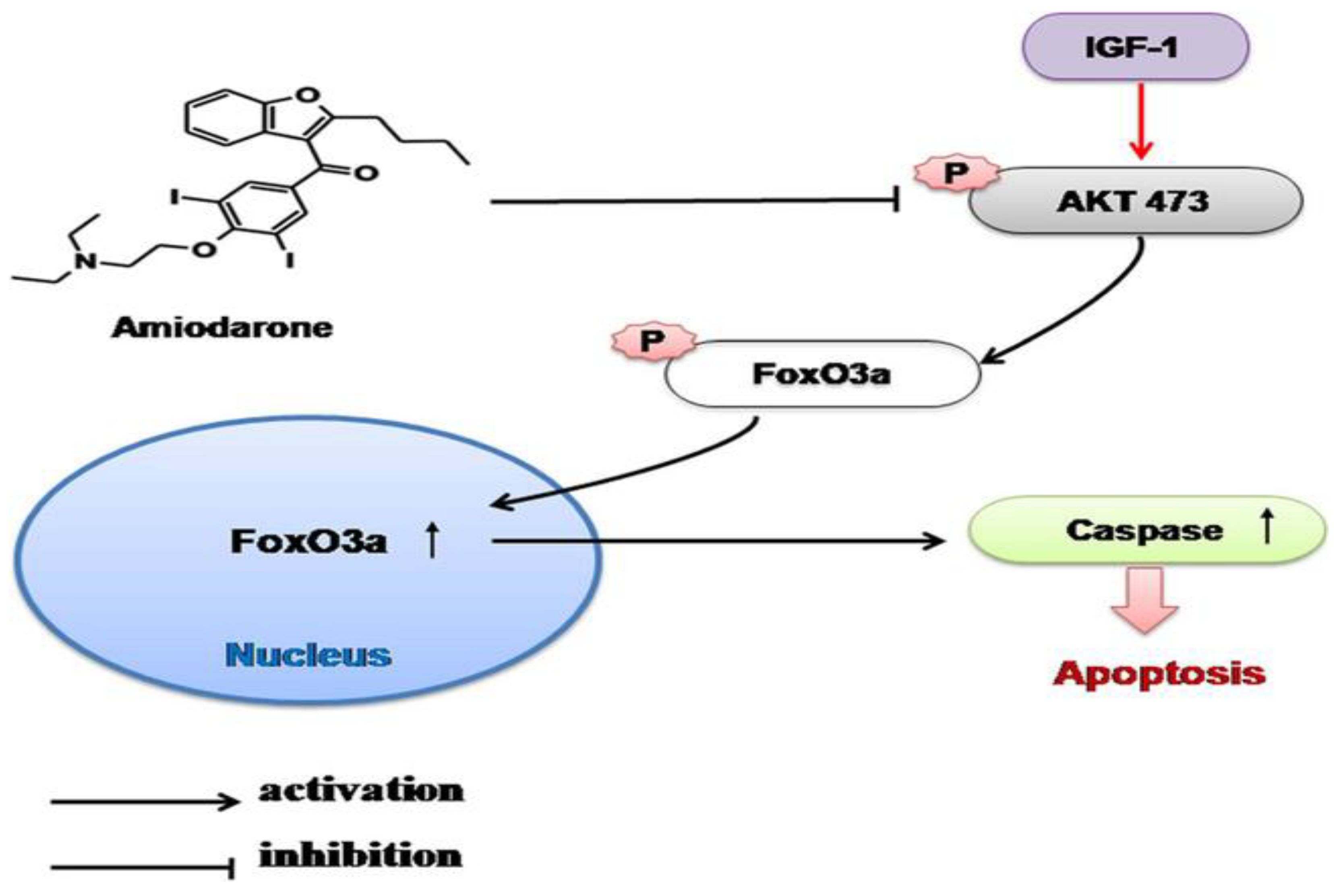 Biomolecules 12 01298 g009 Biomolecules 12 01298 g009