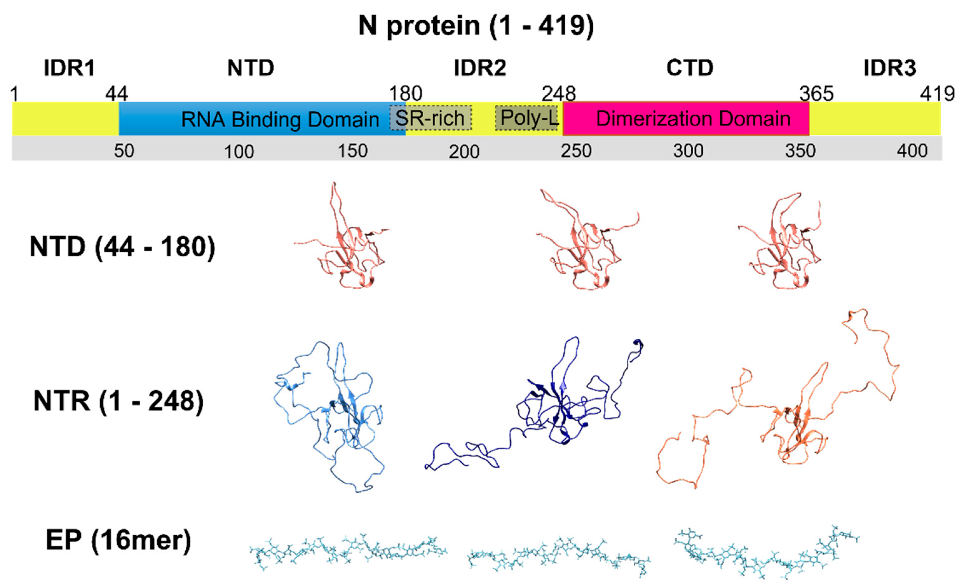 Biomolecules 12 01302 g001