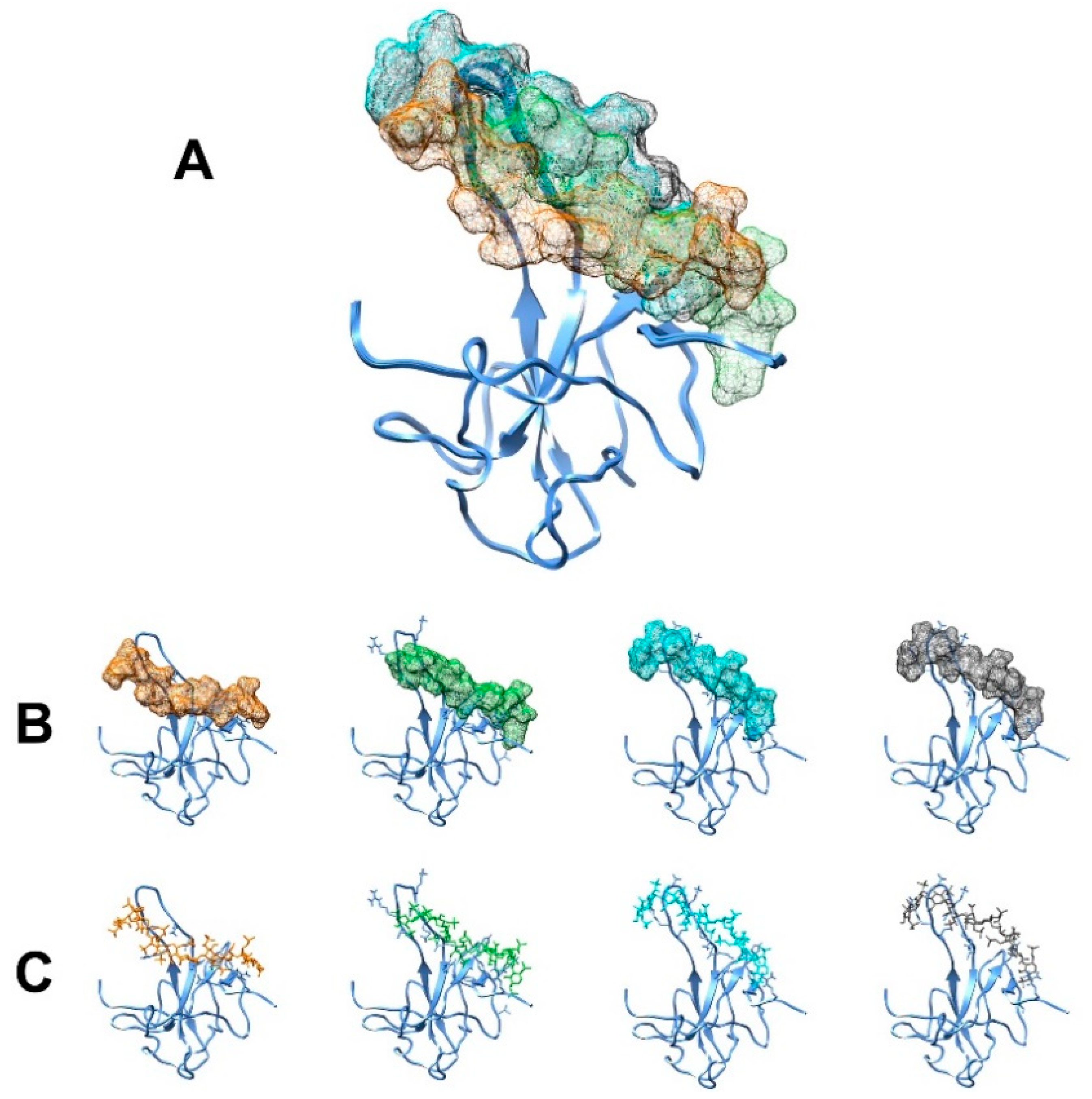 Biomolecules 12 01302 g007