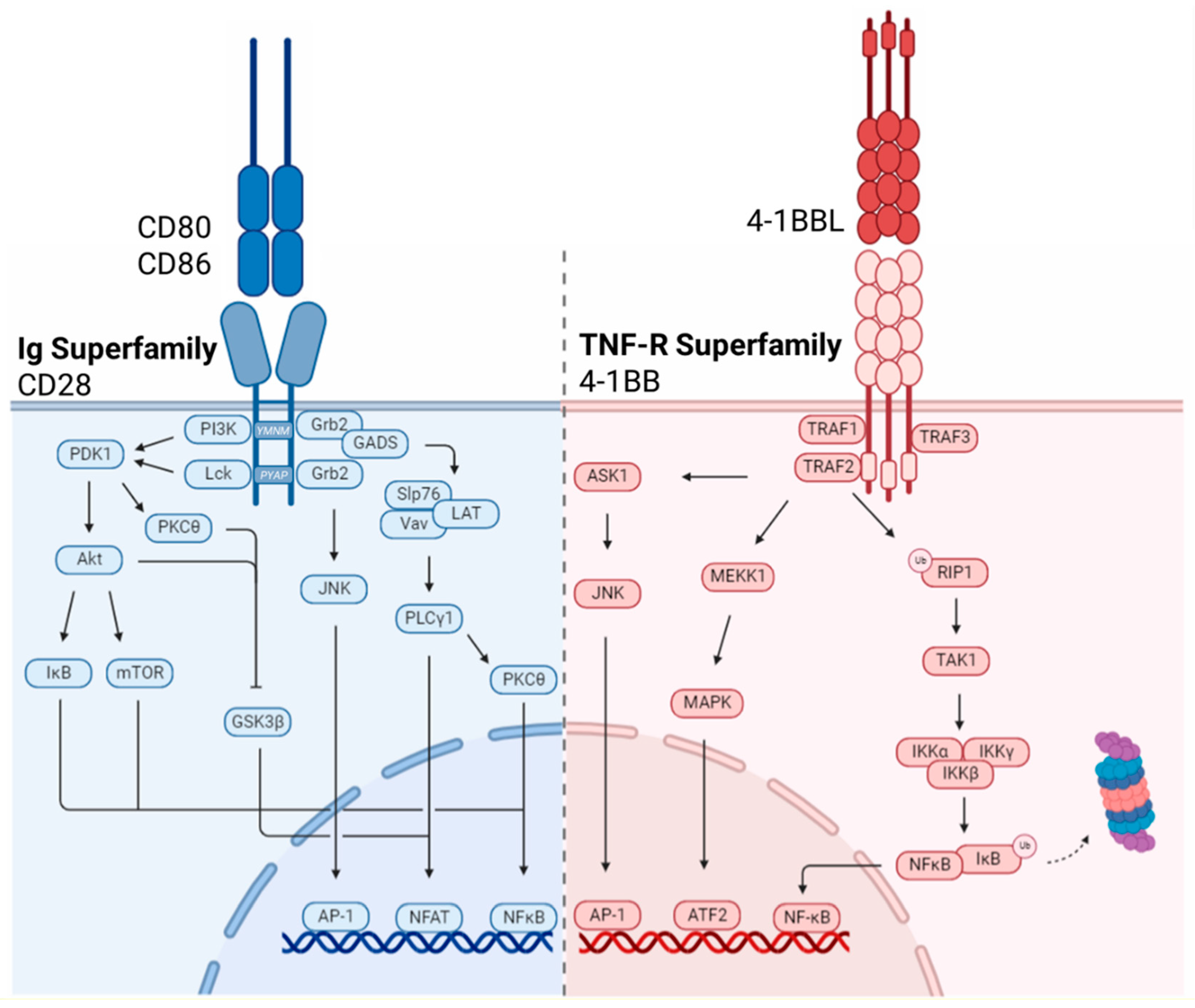 Biomolecules 12 01303 g002