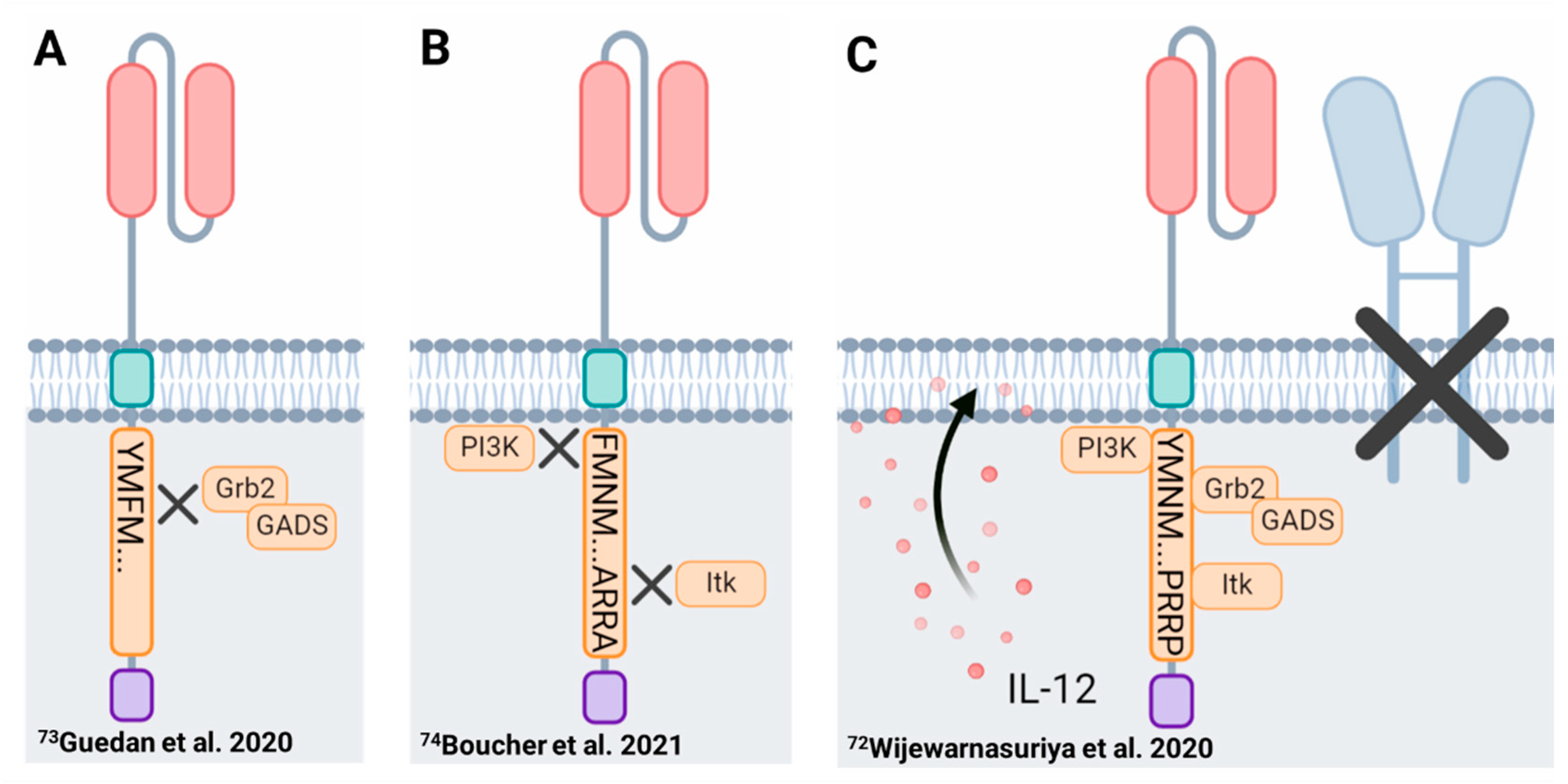 Biomolecules 12 01303 g003