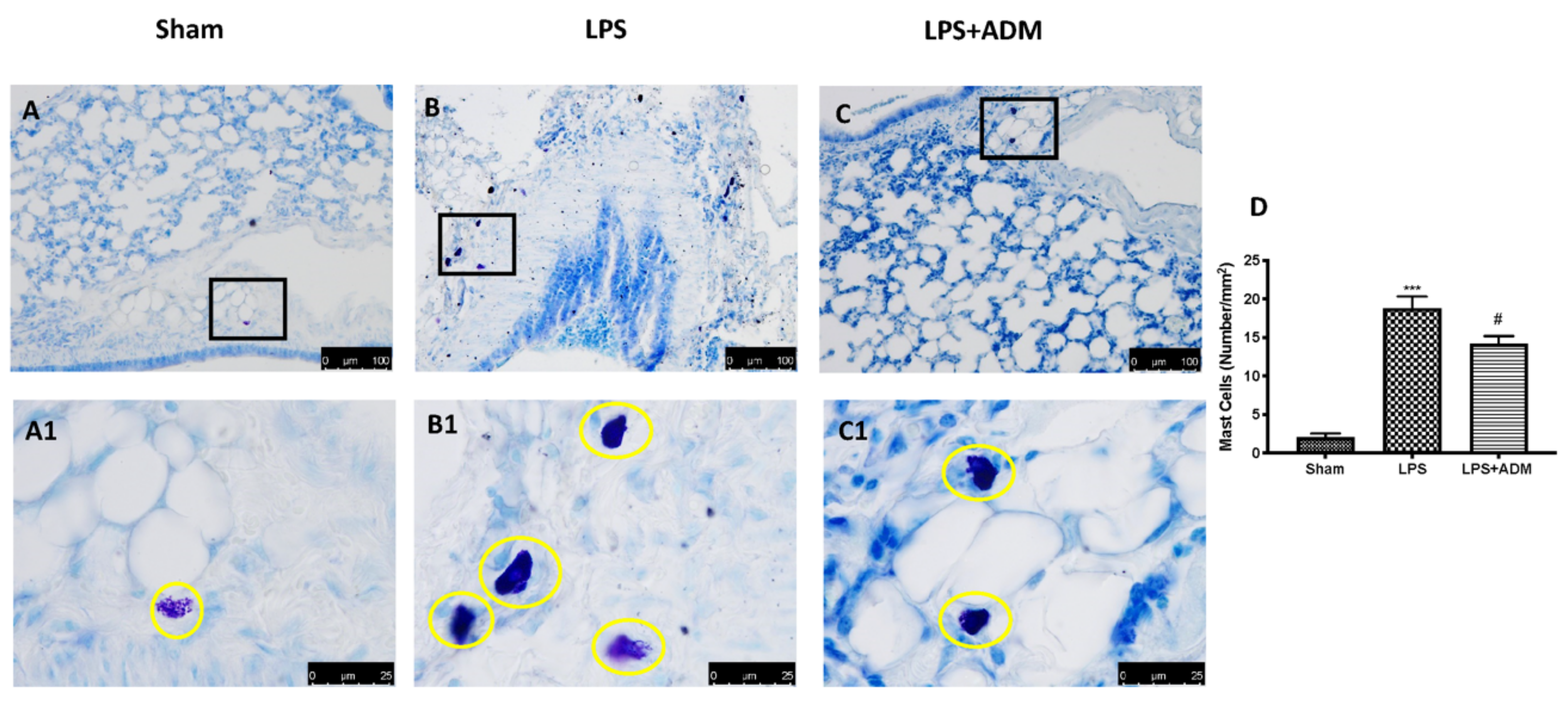 Biomolecules 12 01308 g003