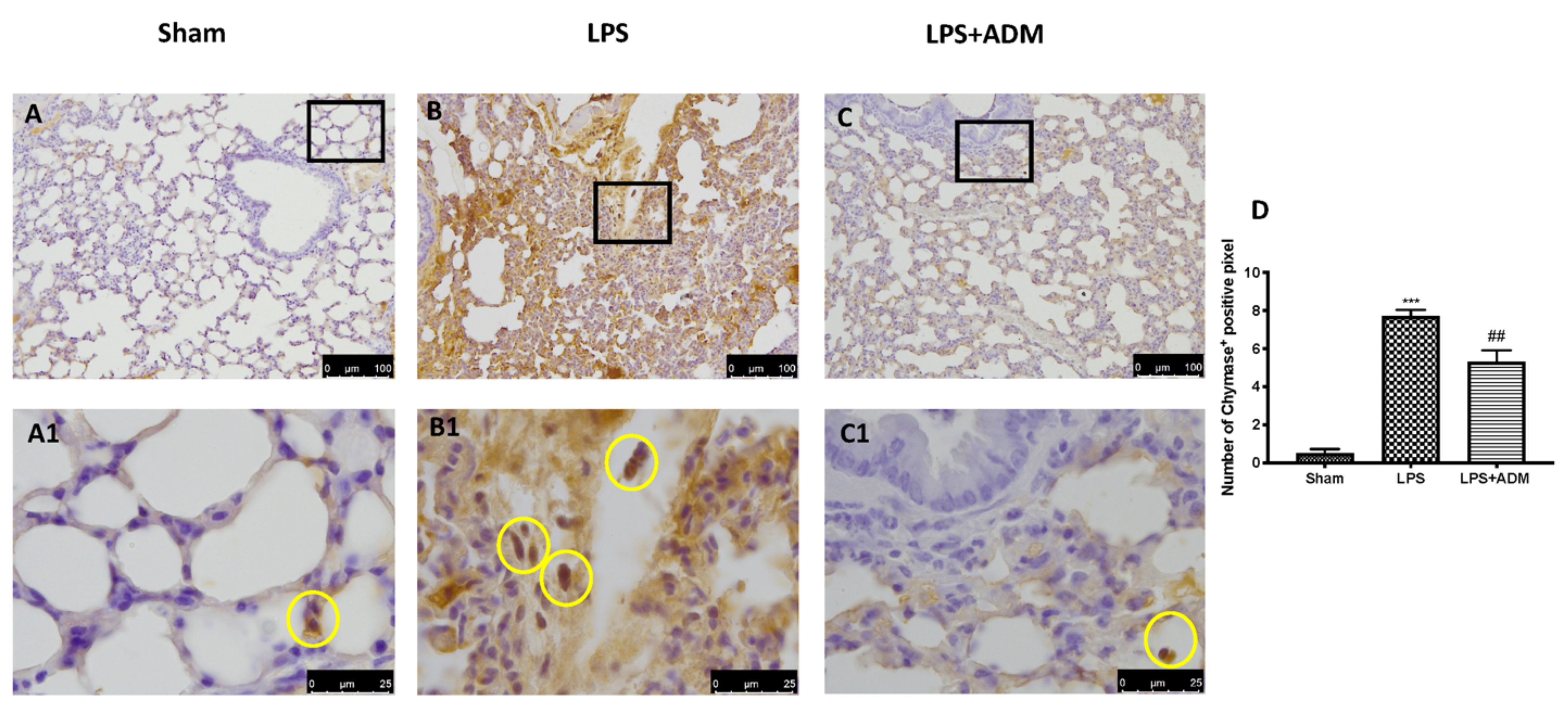Biomolecules 12 01308 g004