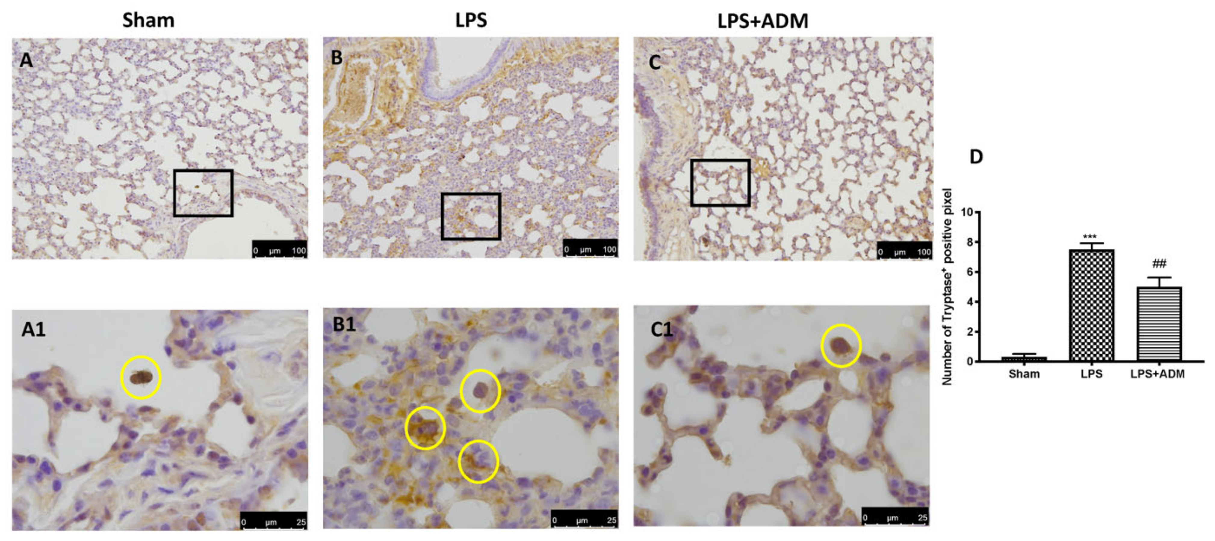 Biomolecules 12 01308 g005