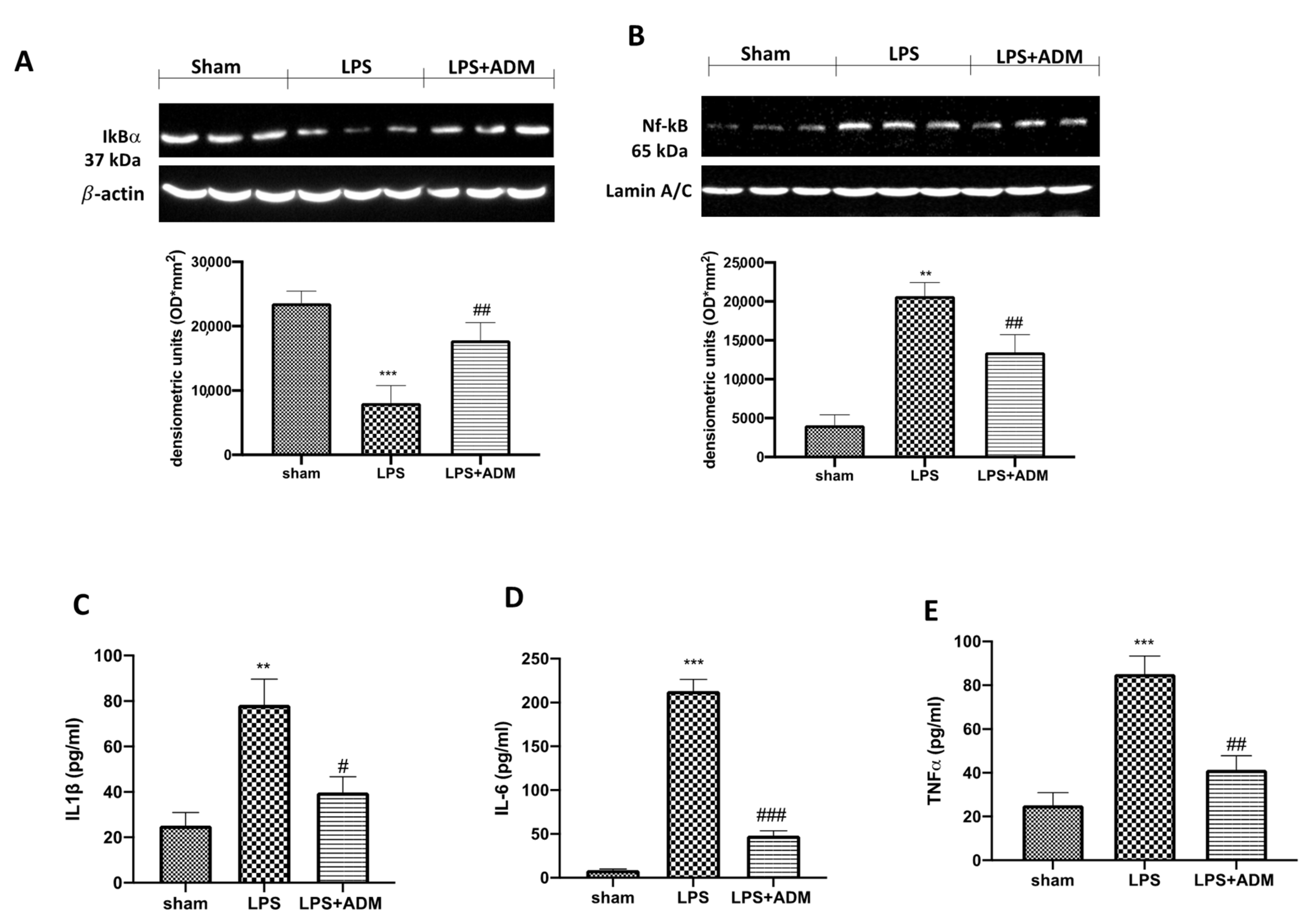 Biomolecules 12 01308 g008