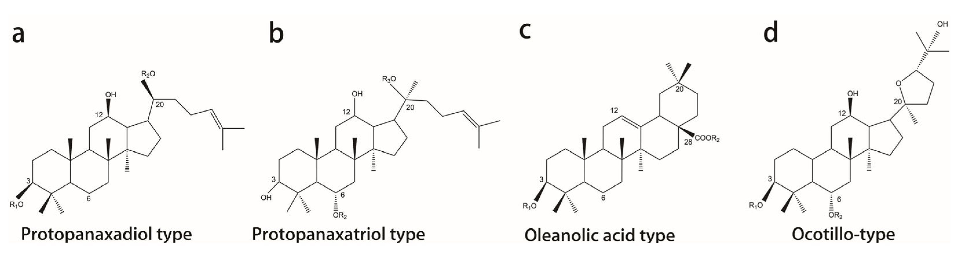 Biomolecules 12 01310 g001 Biomolecules 12 01310 g001