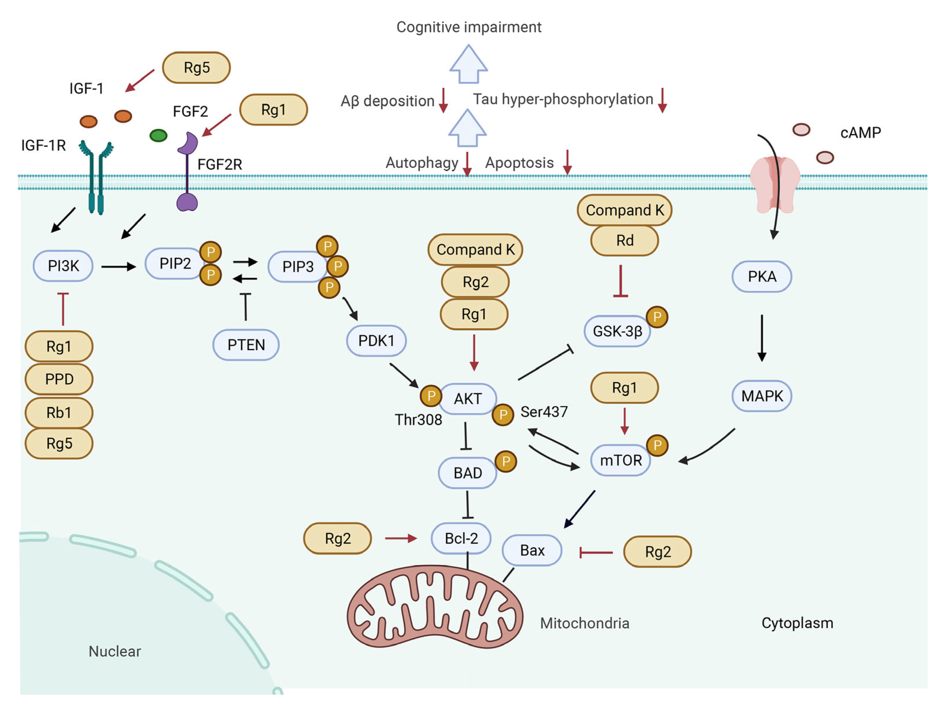 Biomolecules 12 01310 g003 Biomolecules 12 01310 g003
