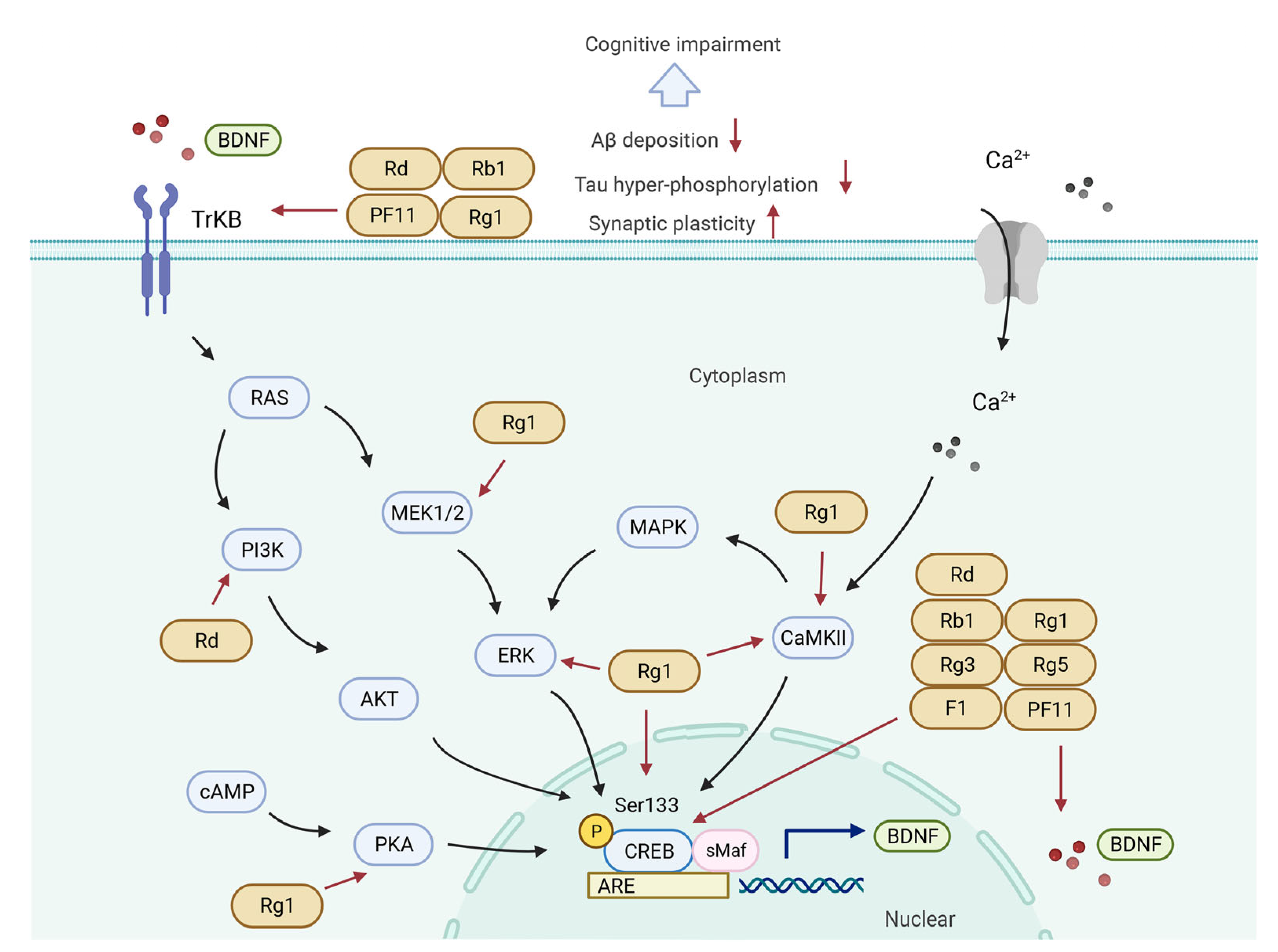 Biomolecules 12 01310 g004 Biomolecules 12 01310 g004