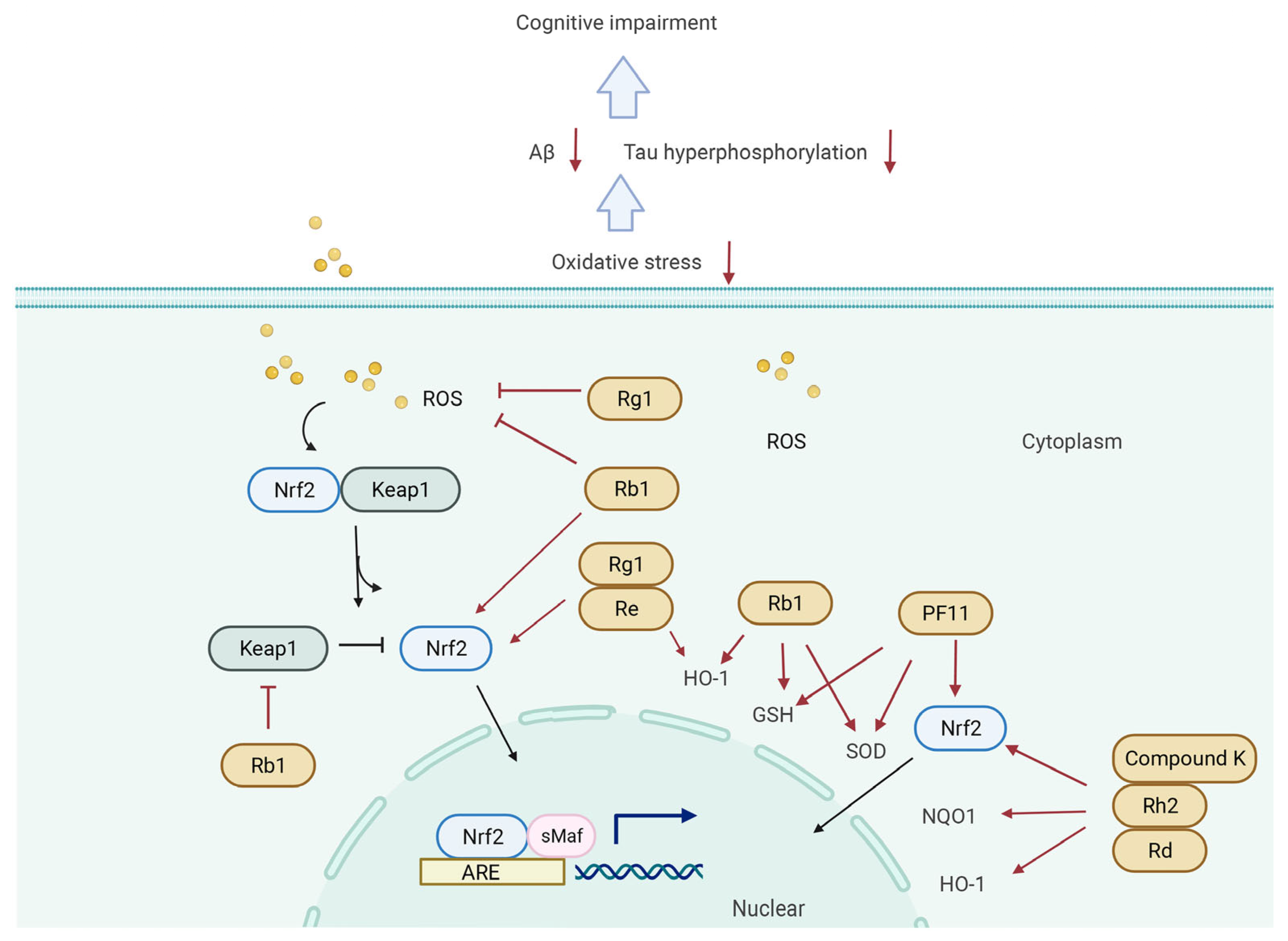 Biomolecules 12 01310 g005 Biomolecules 12 01310 g005
