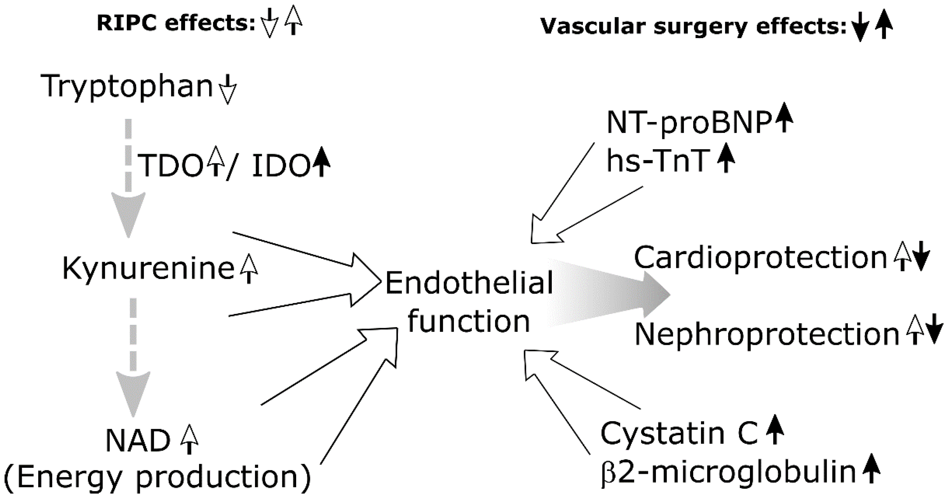 Biomolecules 12 01312 g002 Biomolecules 12 01312 g002