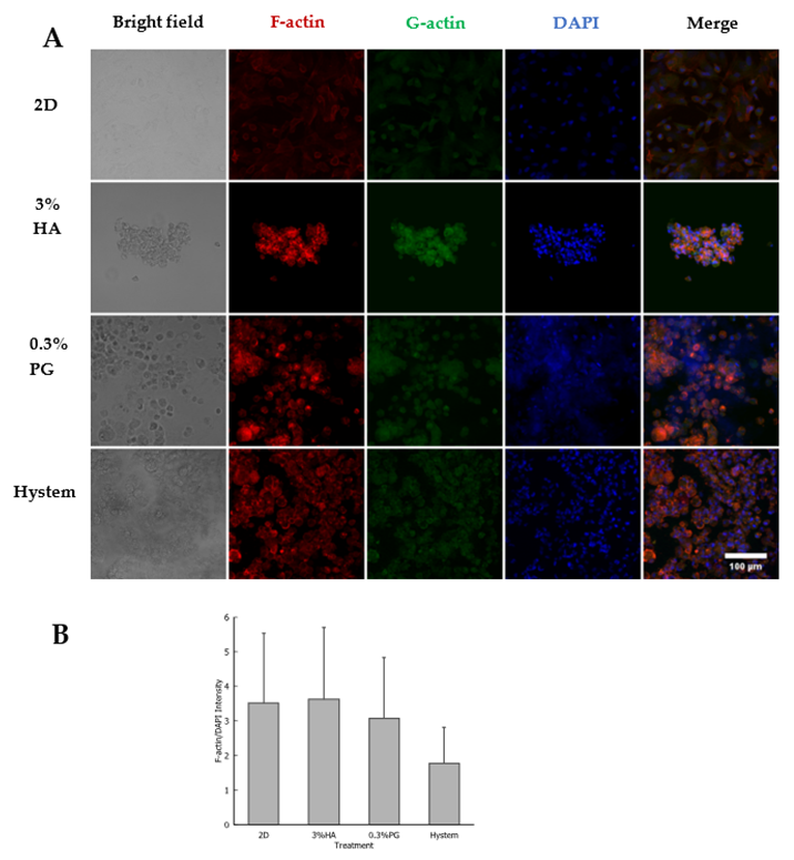 Biomolecules 12 01317 g003 Biomolecules 12 01317 g003