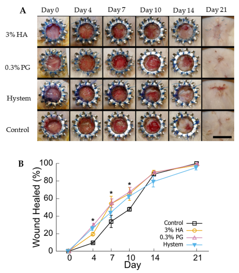 Biomolecules 12 01317 g005 Biomolecules 12 01317 g005