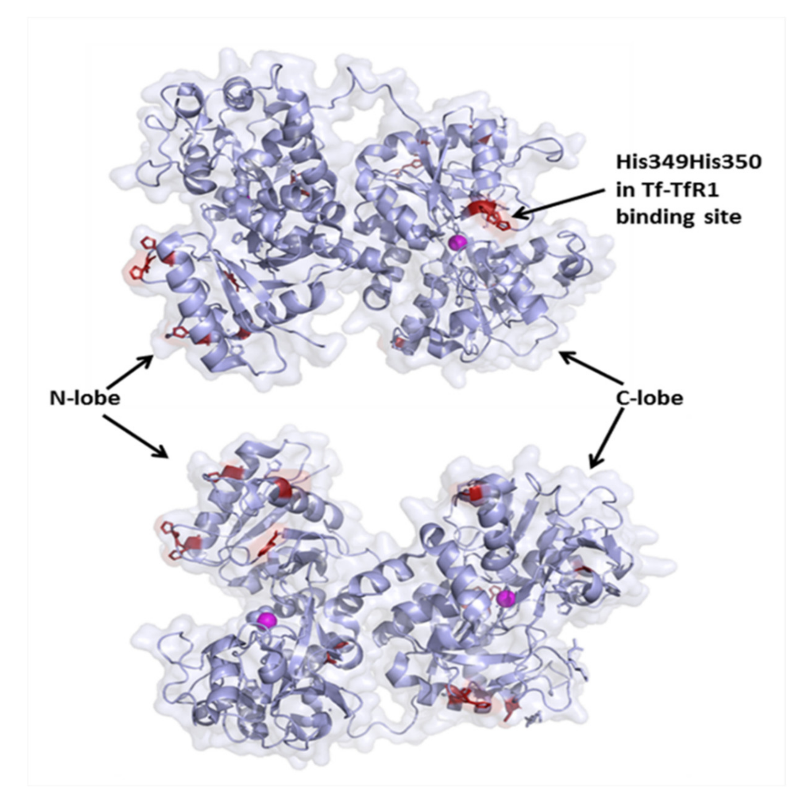 Biomolecules 12 01319 g003