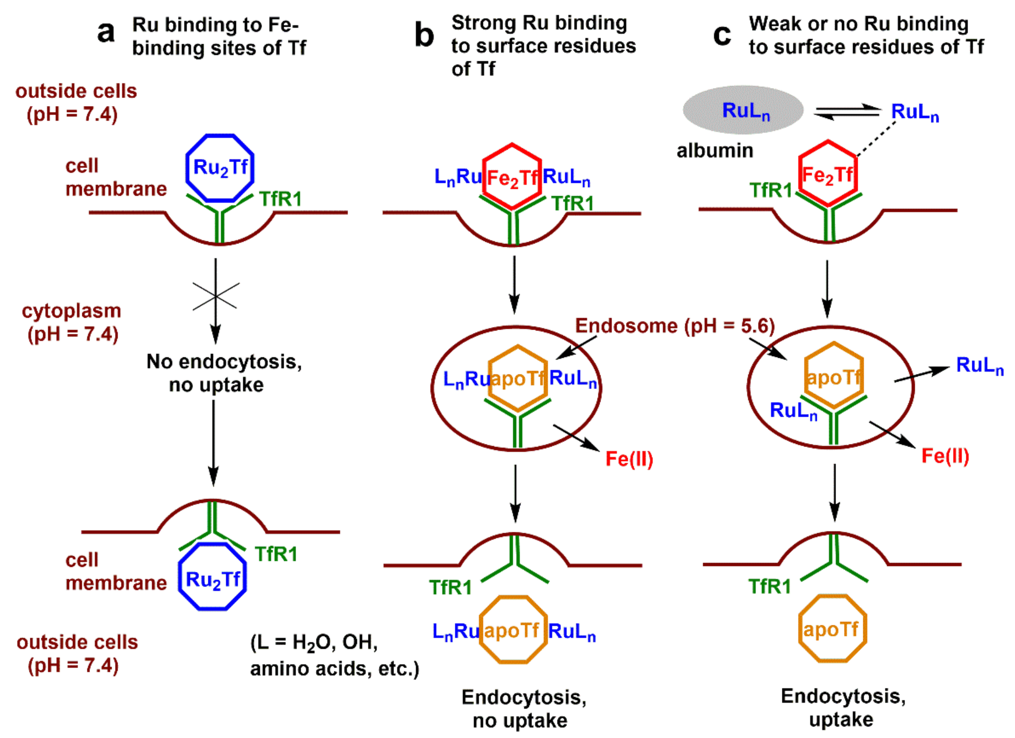 Biomolecules 12 01319 sch003