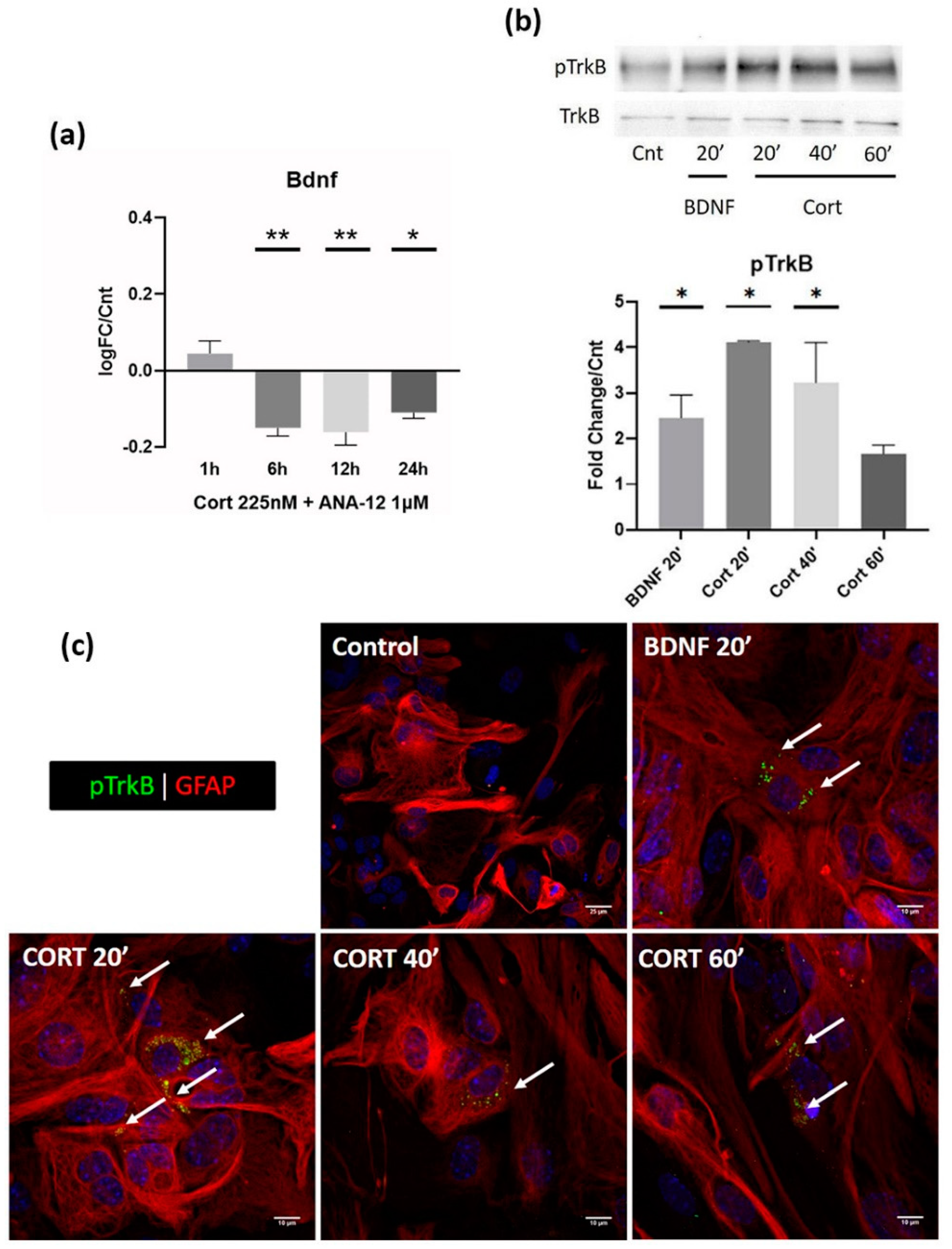 Biomolecules 12 01322 g003