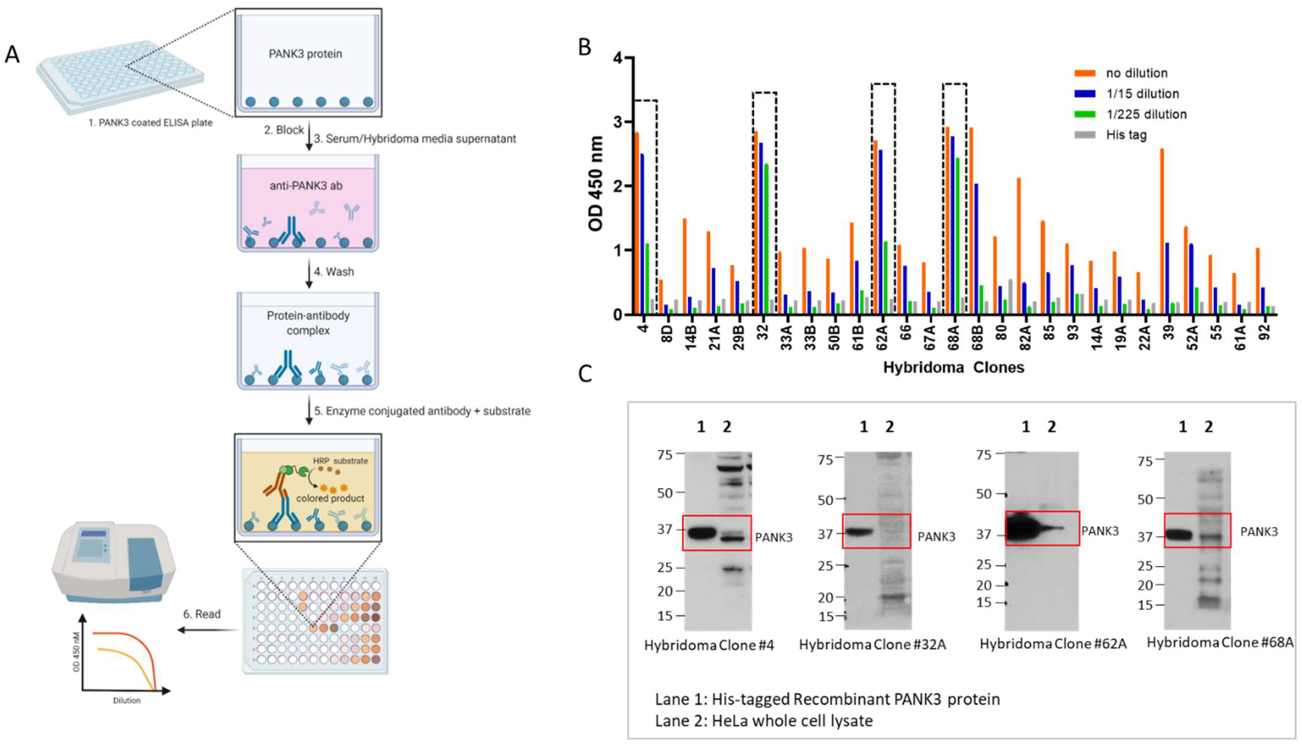 Biomolecules 12 01323 g004 Biomolecules 12 01323 g004