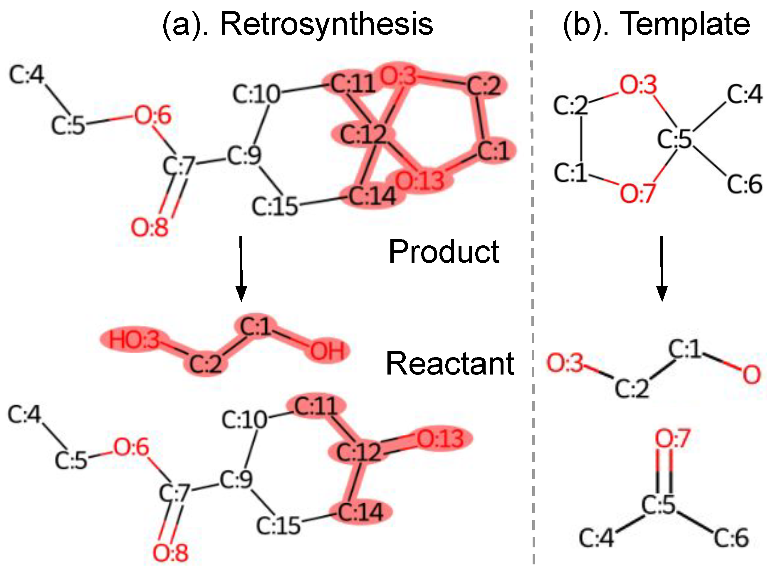 Biomolecules 12 01325 g001