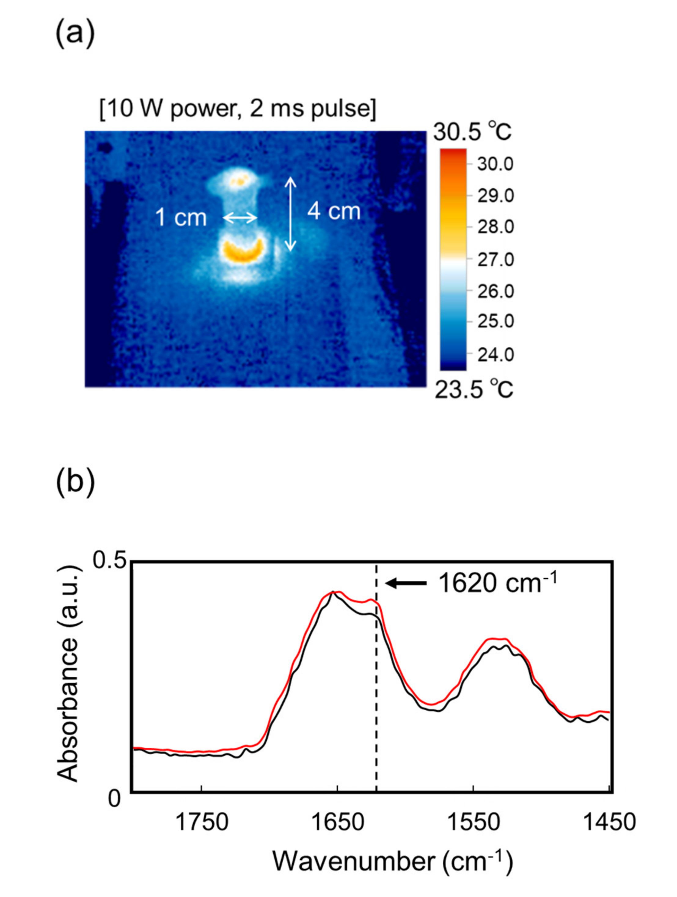 Biomolecules 12 01326 g003a