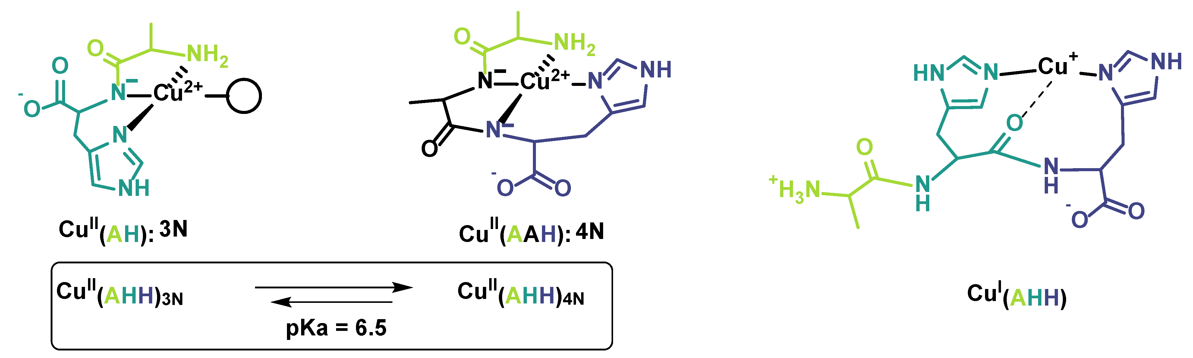 Biomolecules 12 01327 sch001 Biomolecules 12 01327 sch001