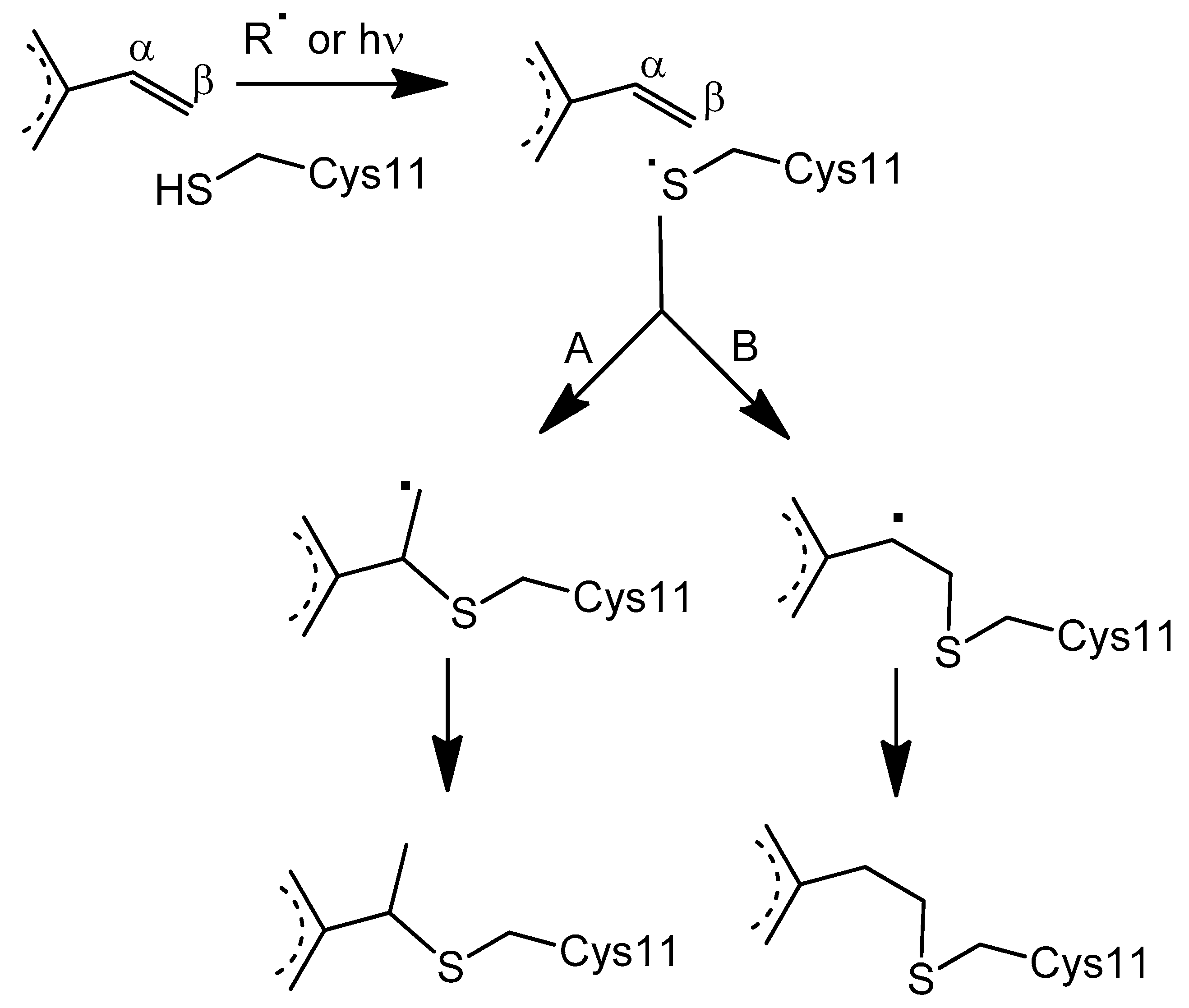 Biomolecules 12 01329 sch003 Biomolecules 12 01329 sch003