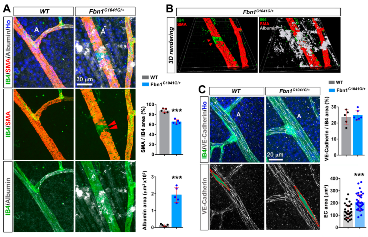 Biomolecules 12 01330 g003 Biomolecules 12 01330 g003