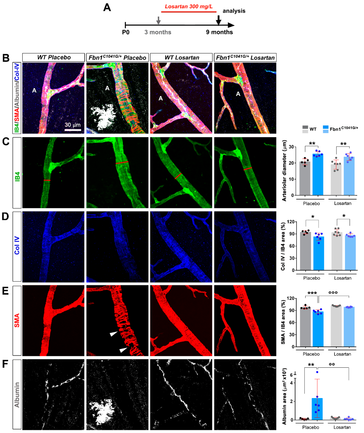 Biomolecules 12 01330 g007 Biomolecules 12 01330 g007