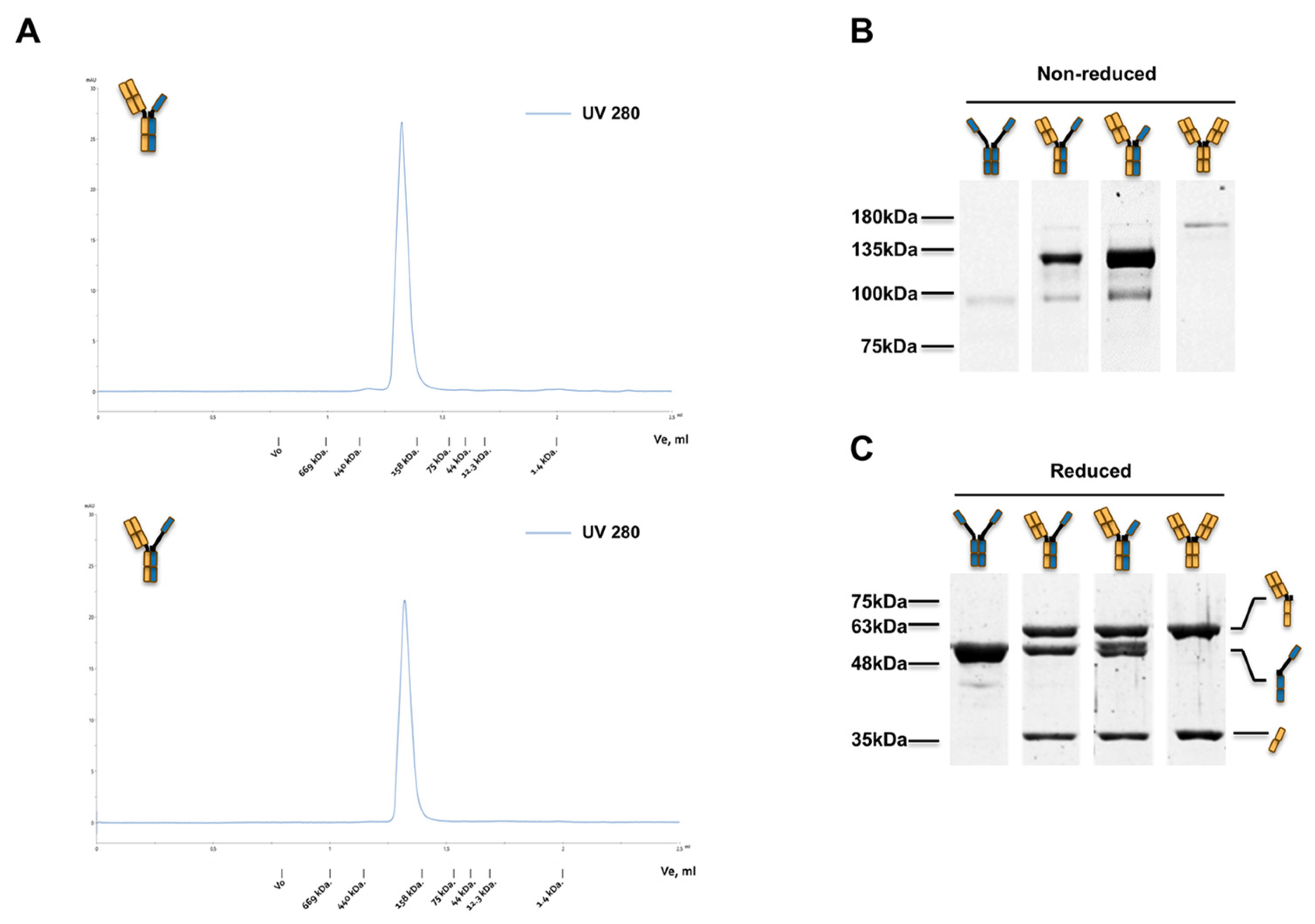 Biomolecules 12 01331 g002 Biomolecules 12 01331 g002