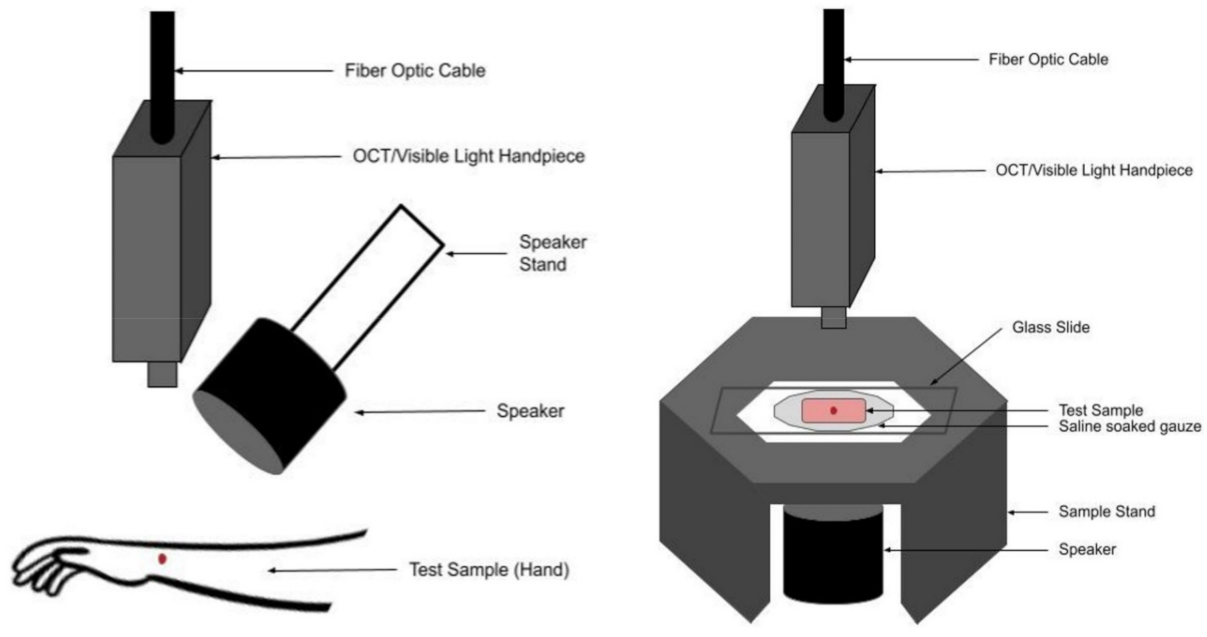 Biomolecules 12 01332 g001 Biomolecules 12 01332 g001