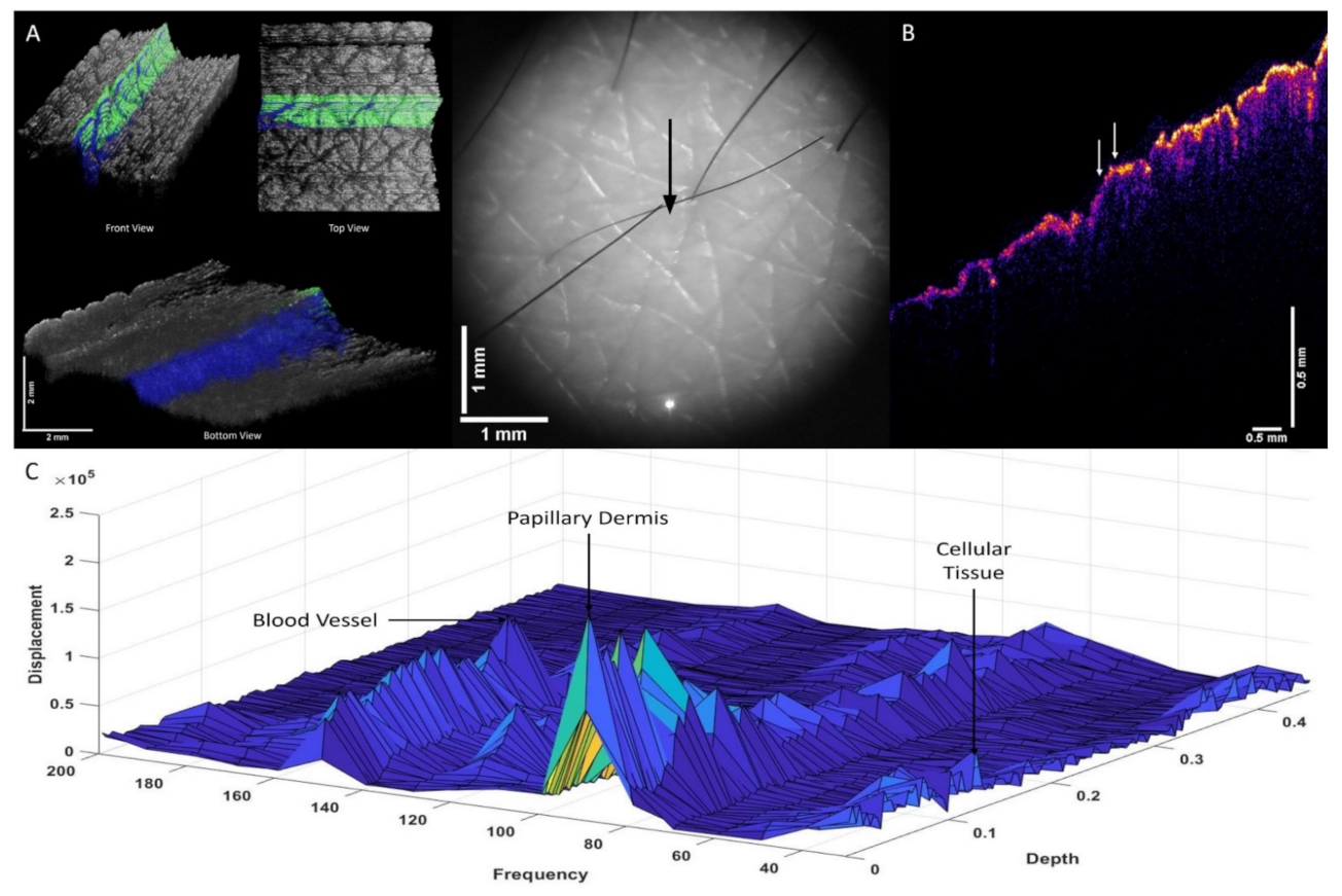 Biomolecules 12 01332 g002 Biomolecules 12 01332 g002