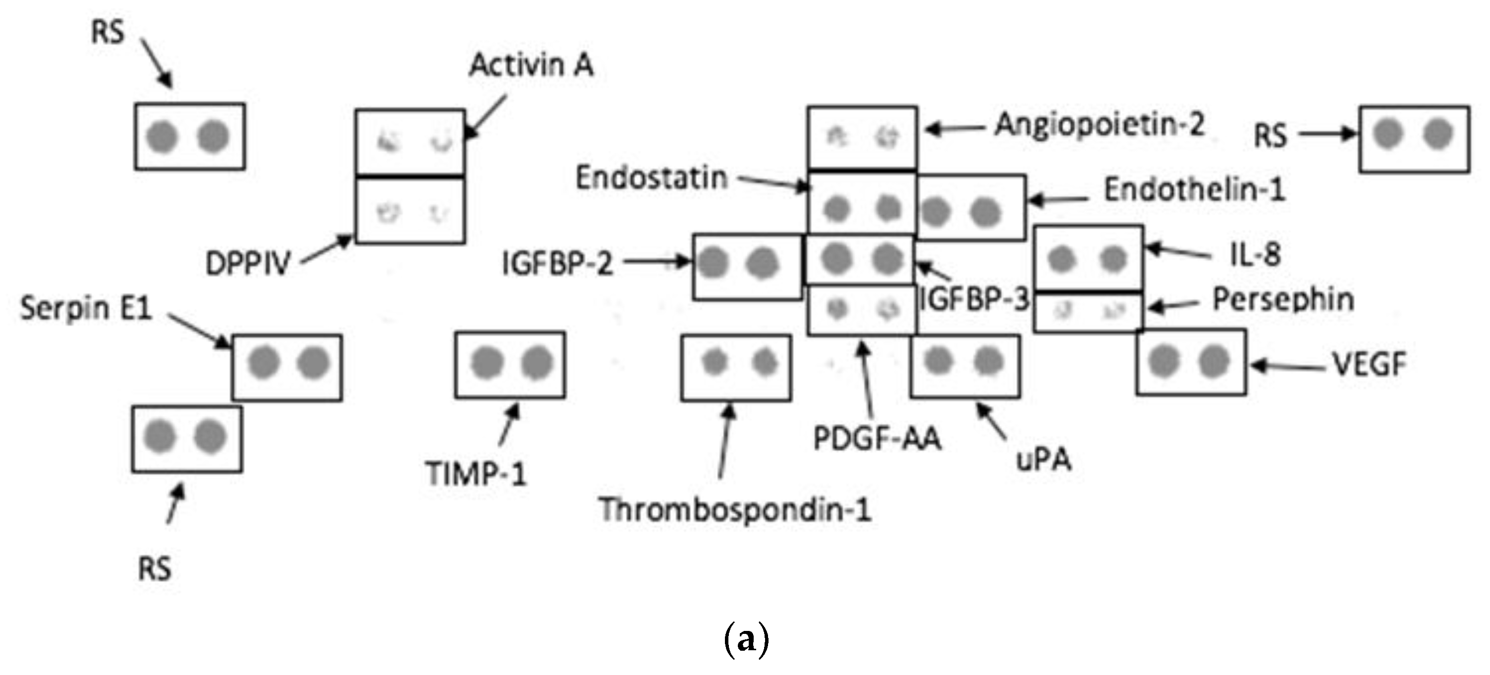 Biomolecules 12 01334 g006a