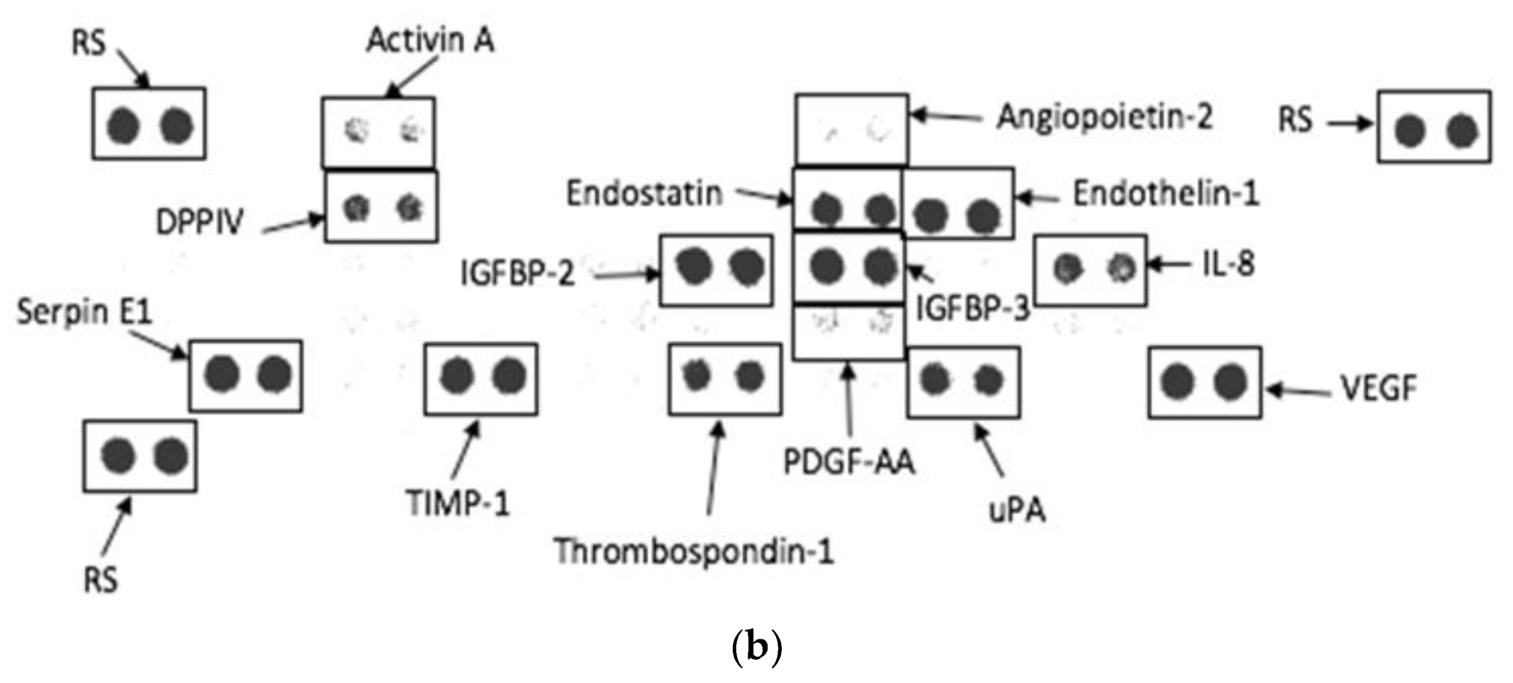 Biomolecules 12 01334 g006b