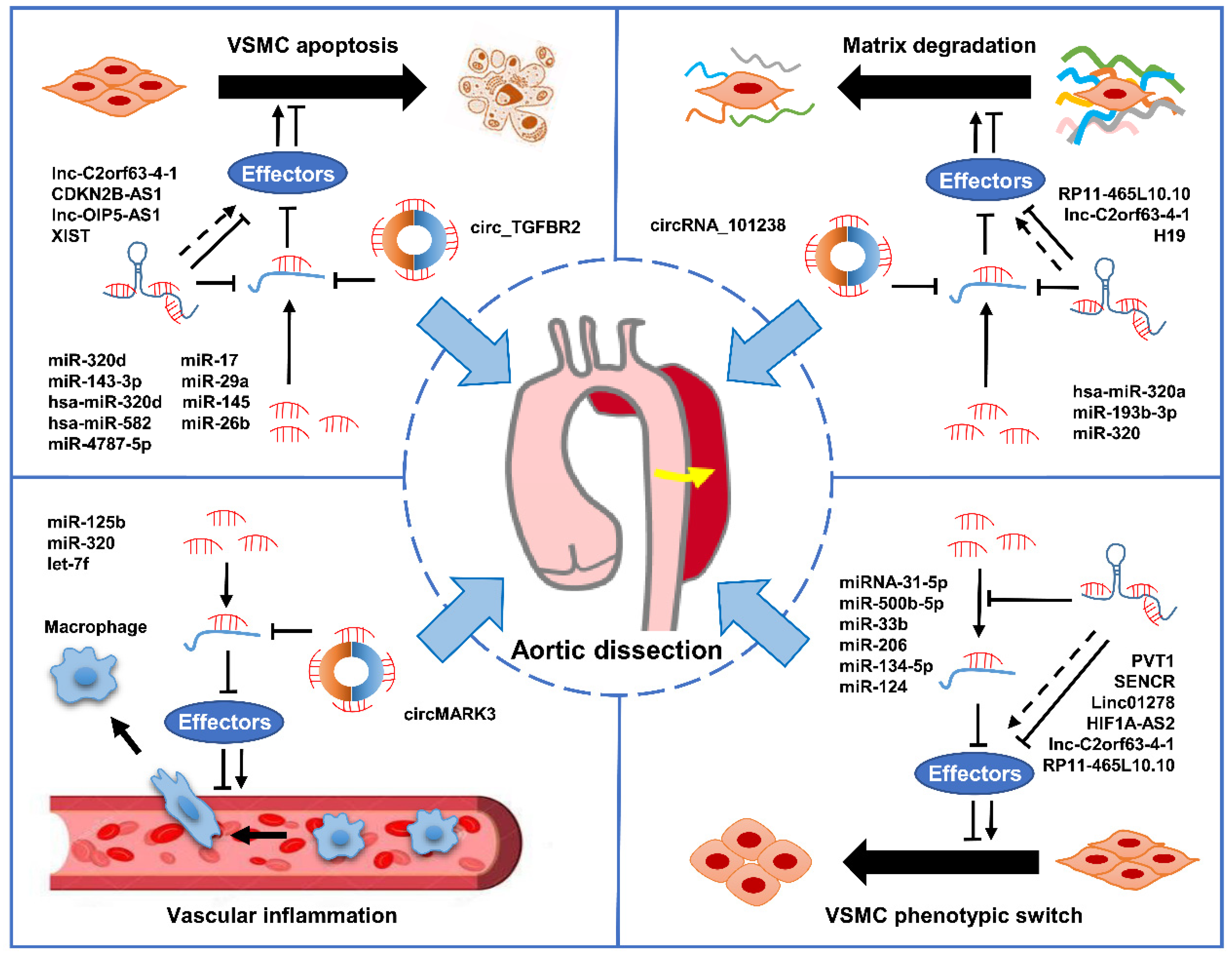 Biomolecules 12 01336 g002