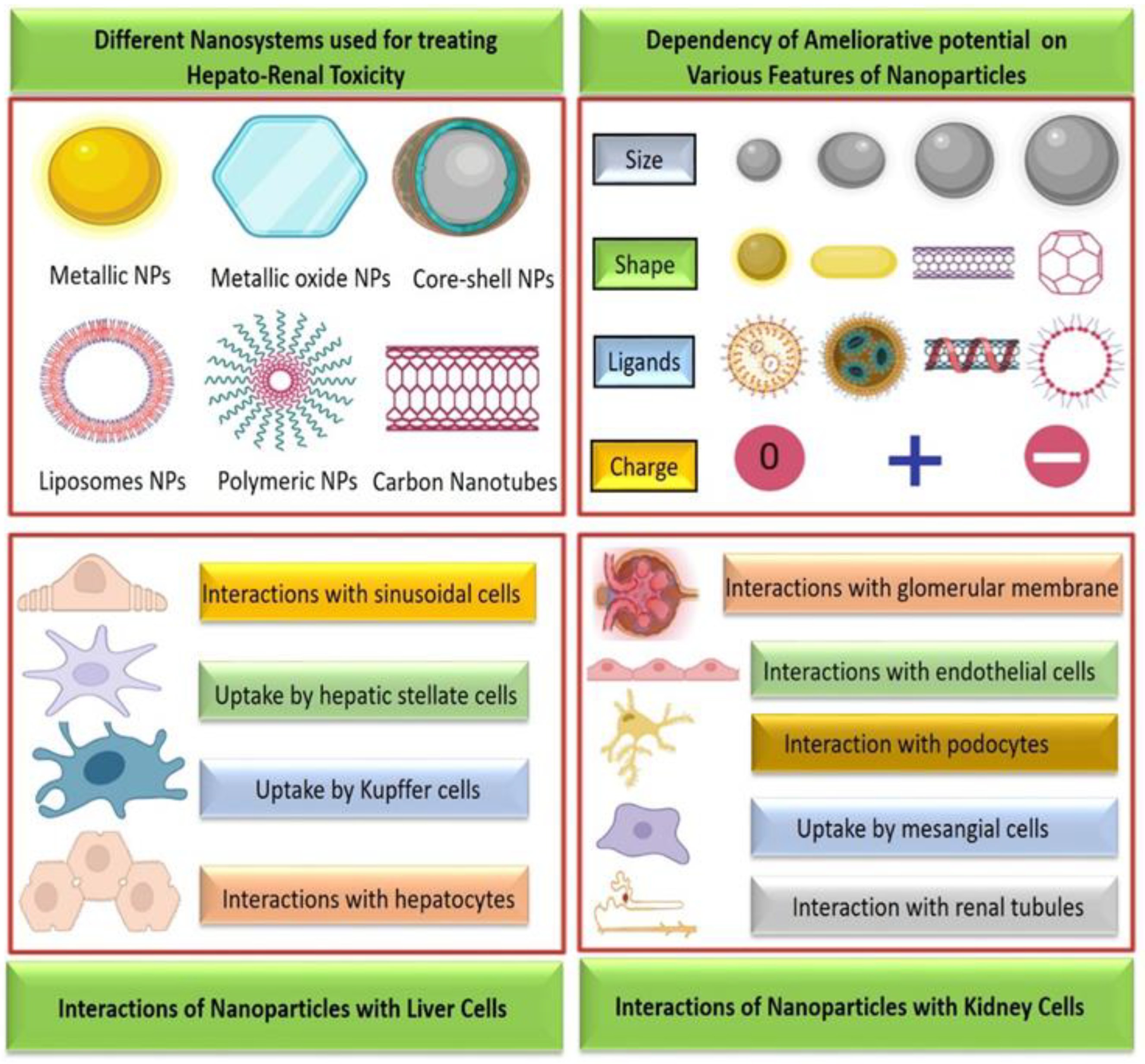 Biomolecules 12 01337 g002 Biomolecules 12 01337 g002