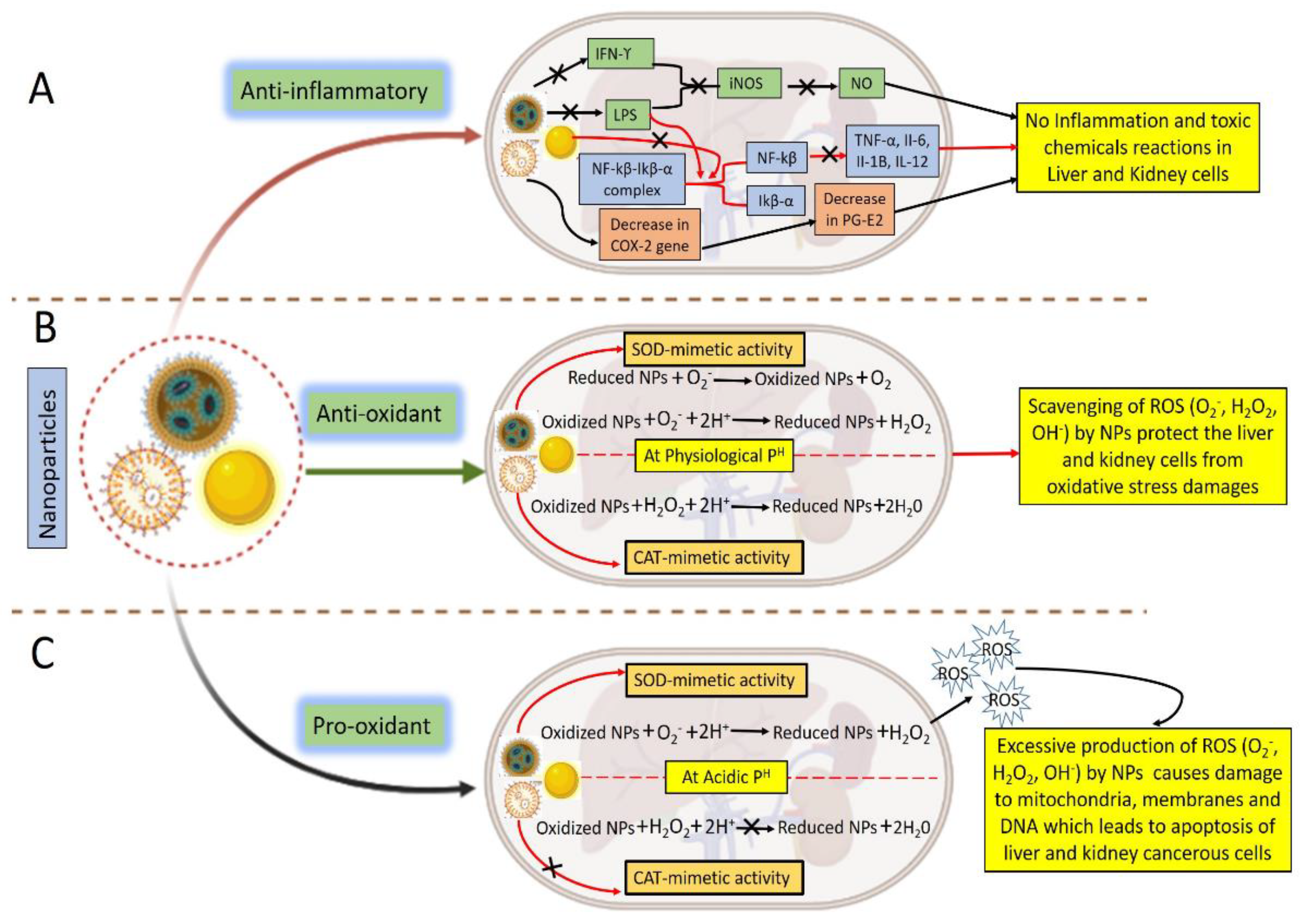 Biomolecules 12 01337 g003 Biomolecules 12 01337 g003