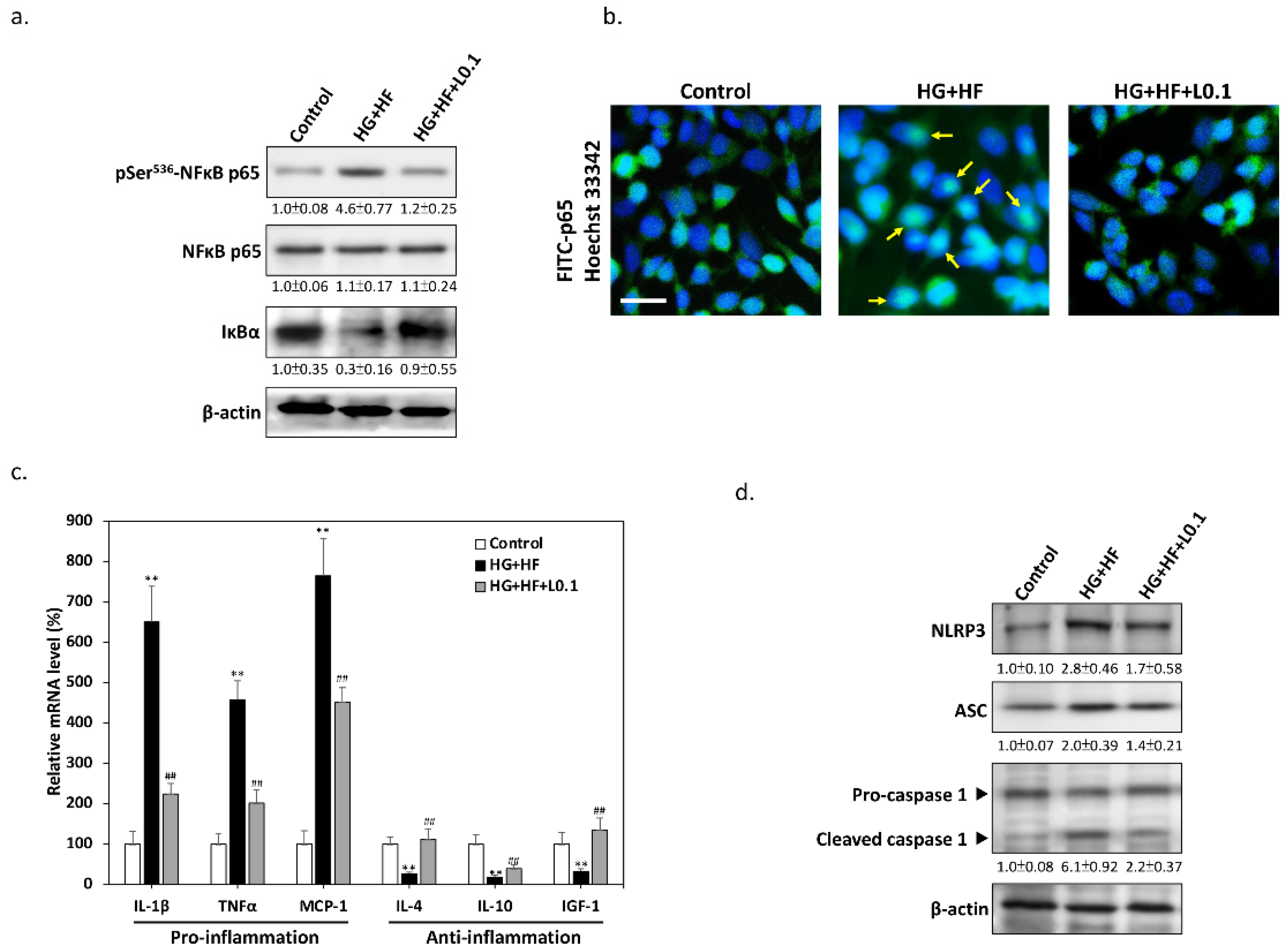 Biomolecules 12 01338 g003 550