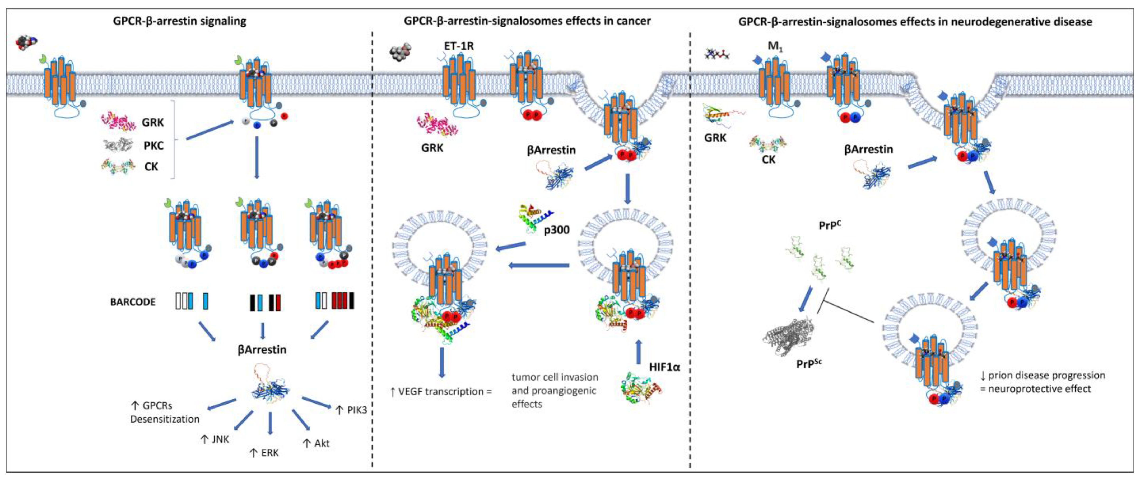 Biomolecules 12 01343 g002