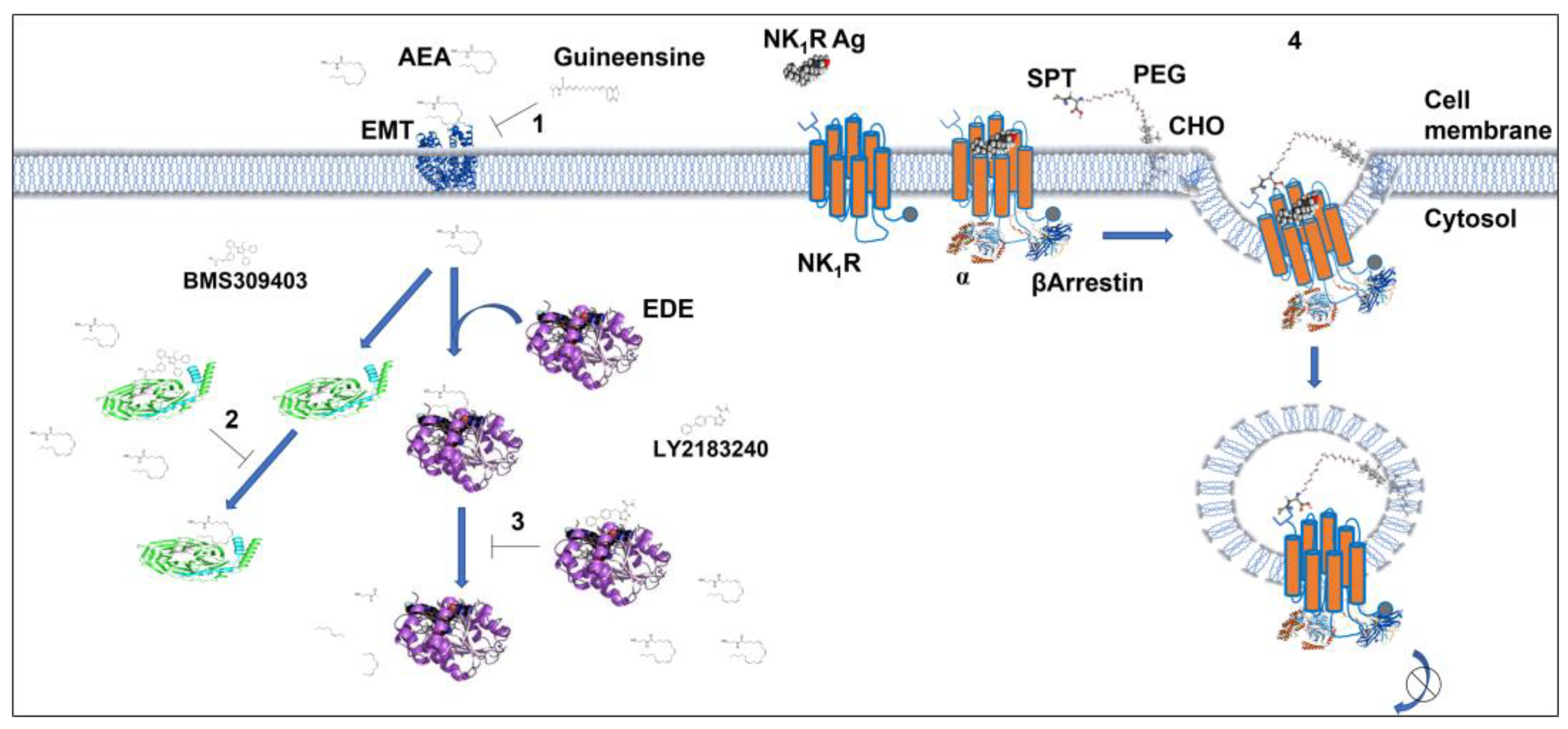 Biomolecules 12 01343 g004