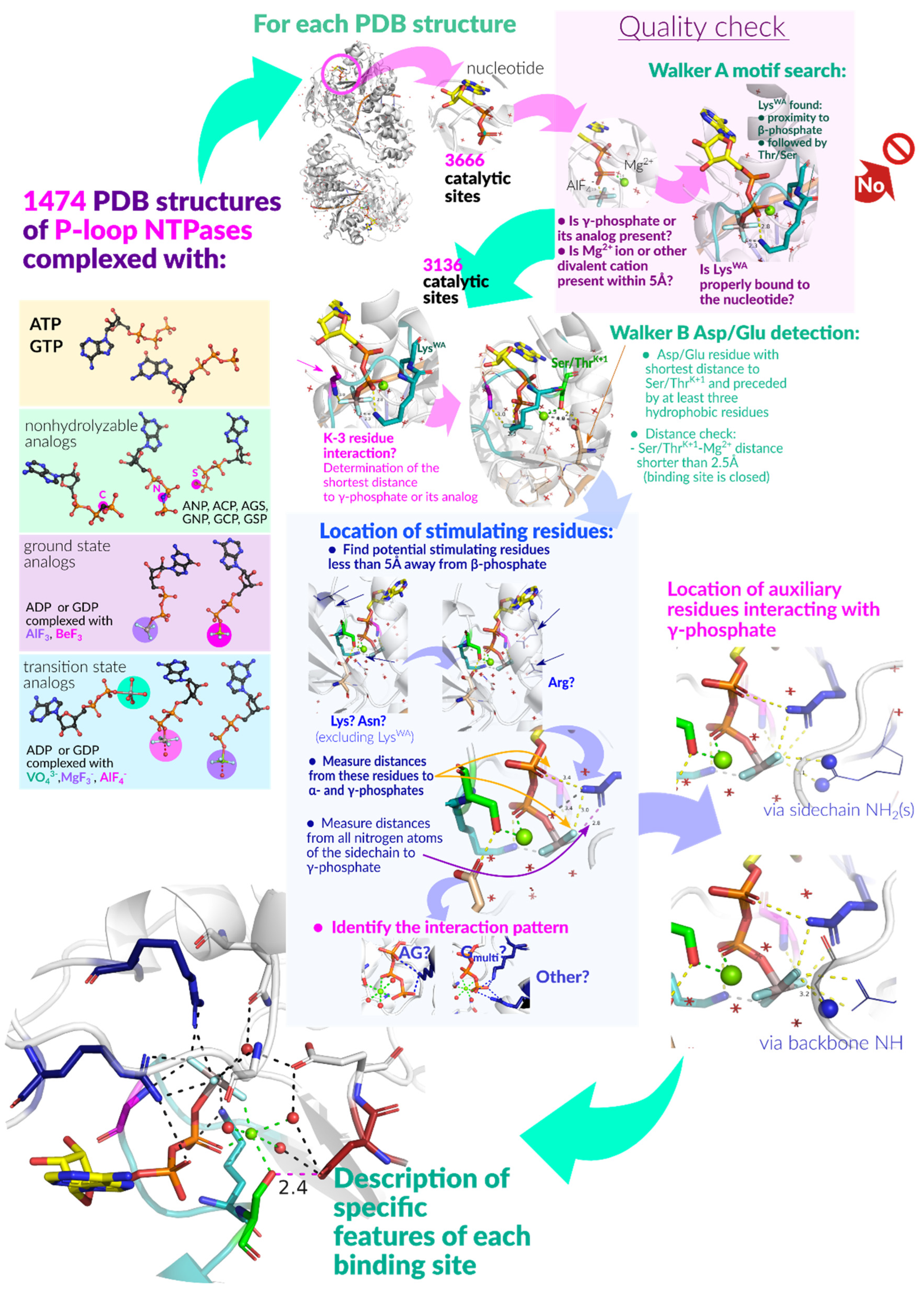 Biomolecules 12 01345 g002