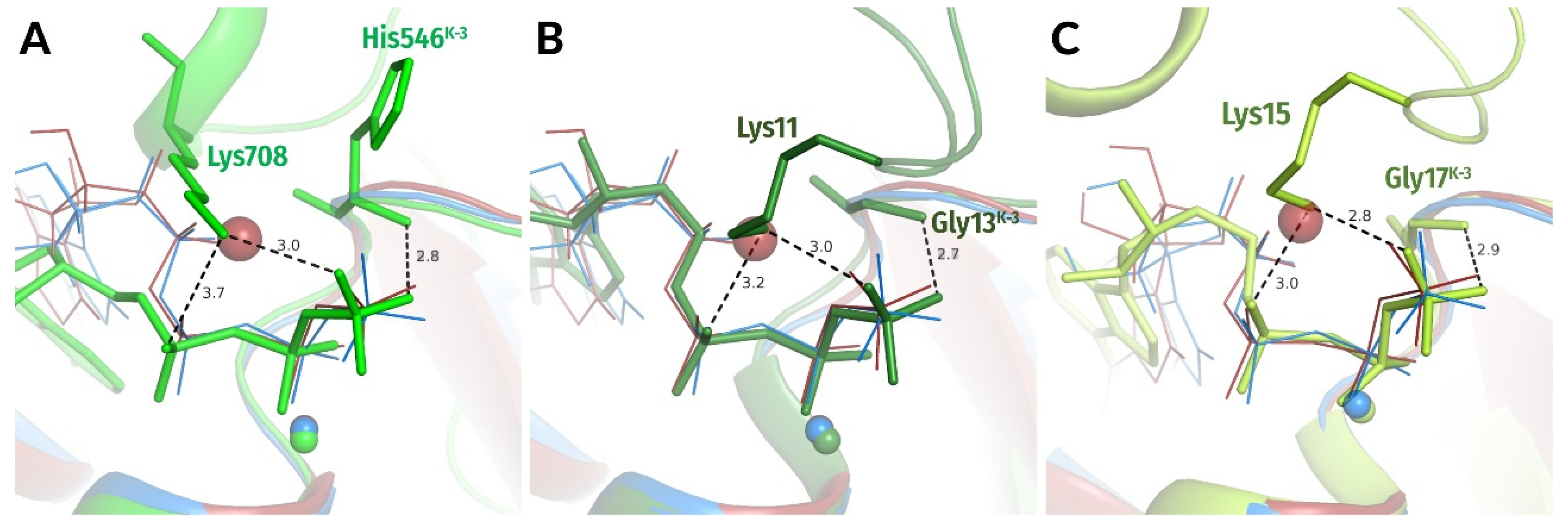 Biomolecules 12 01345 g004