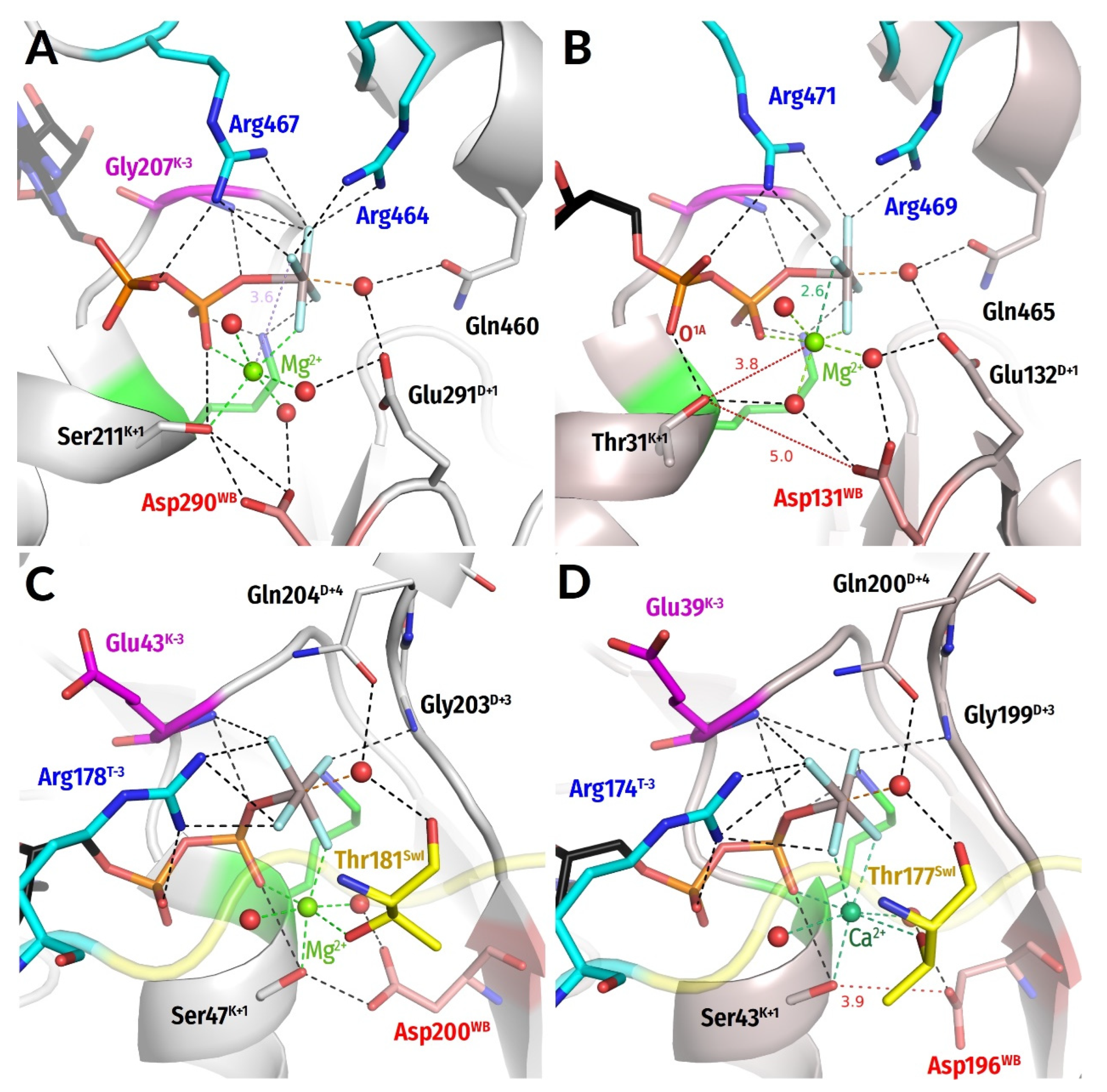 Biomolecules 12 01345 g006