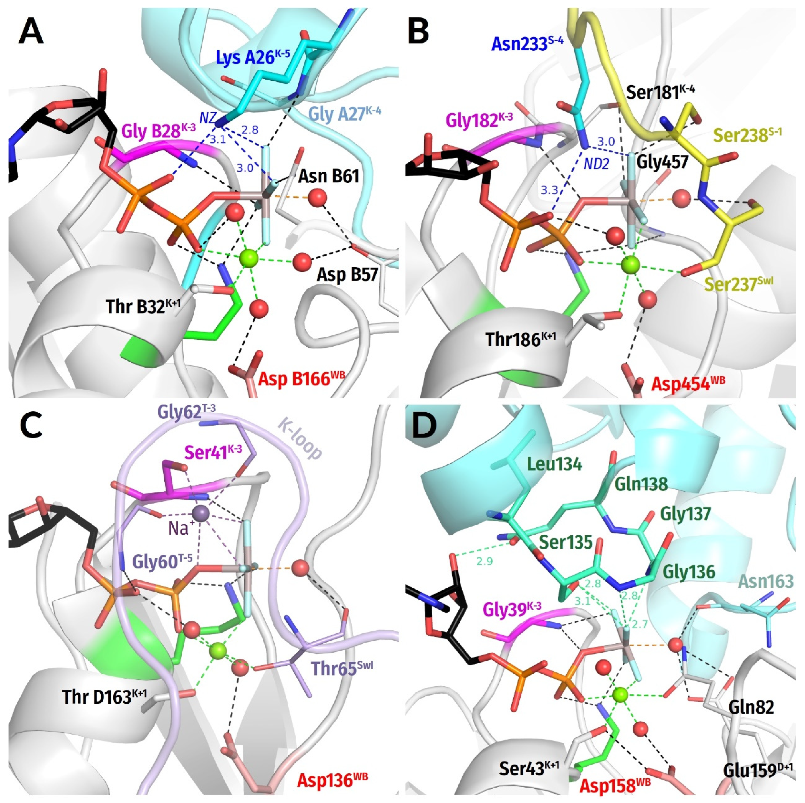 Biomolecules 12 01345 g008