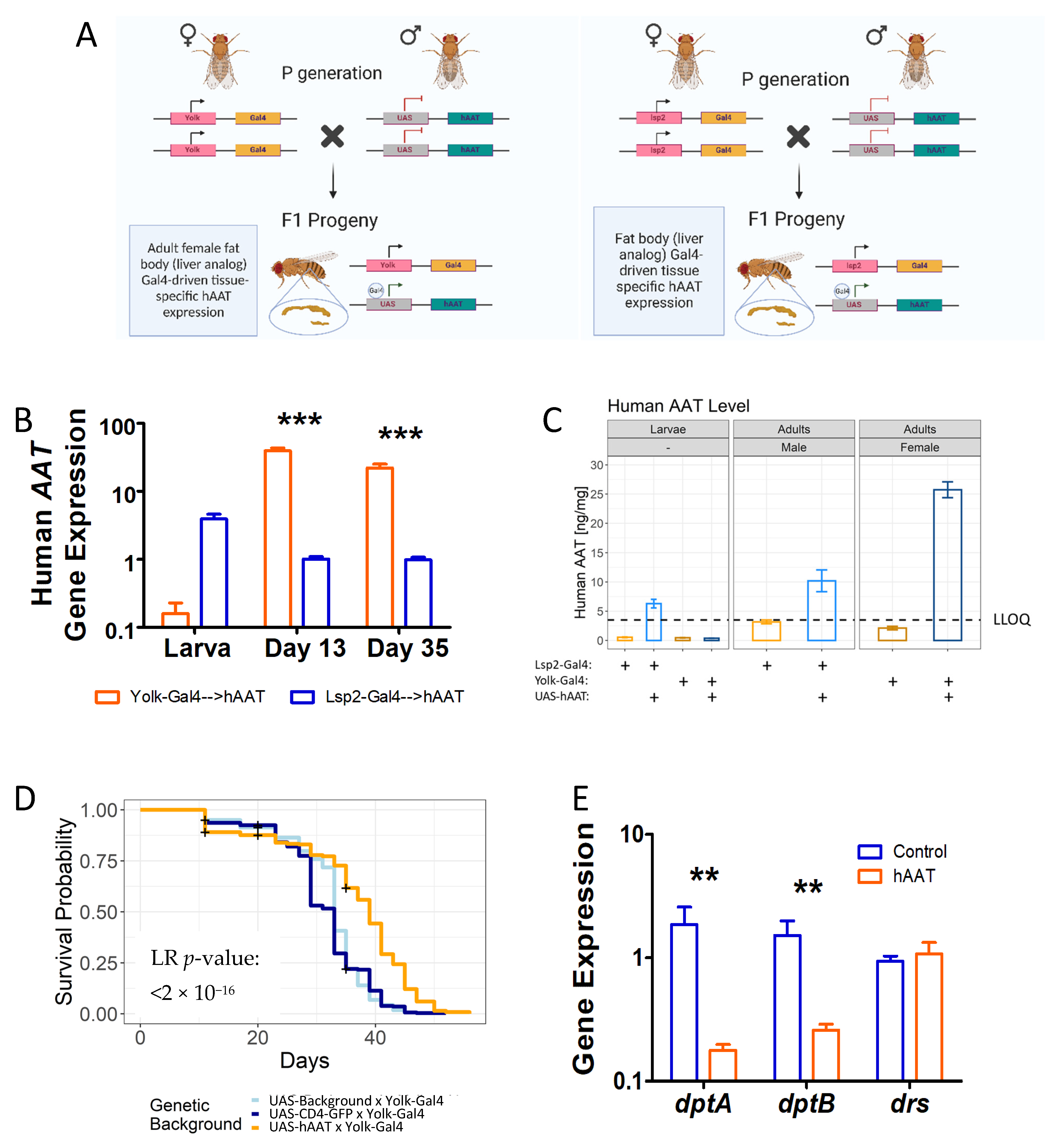 Biomolecules 12 01347 g005 Biomolecules 12 01347 g005