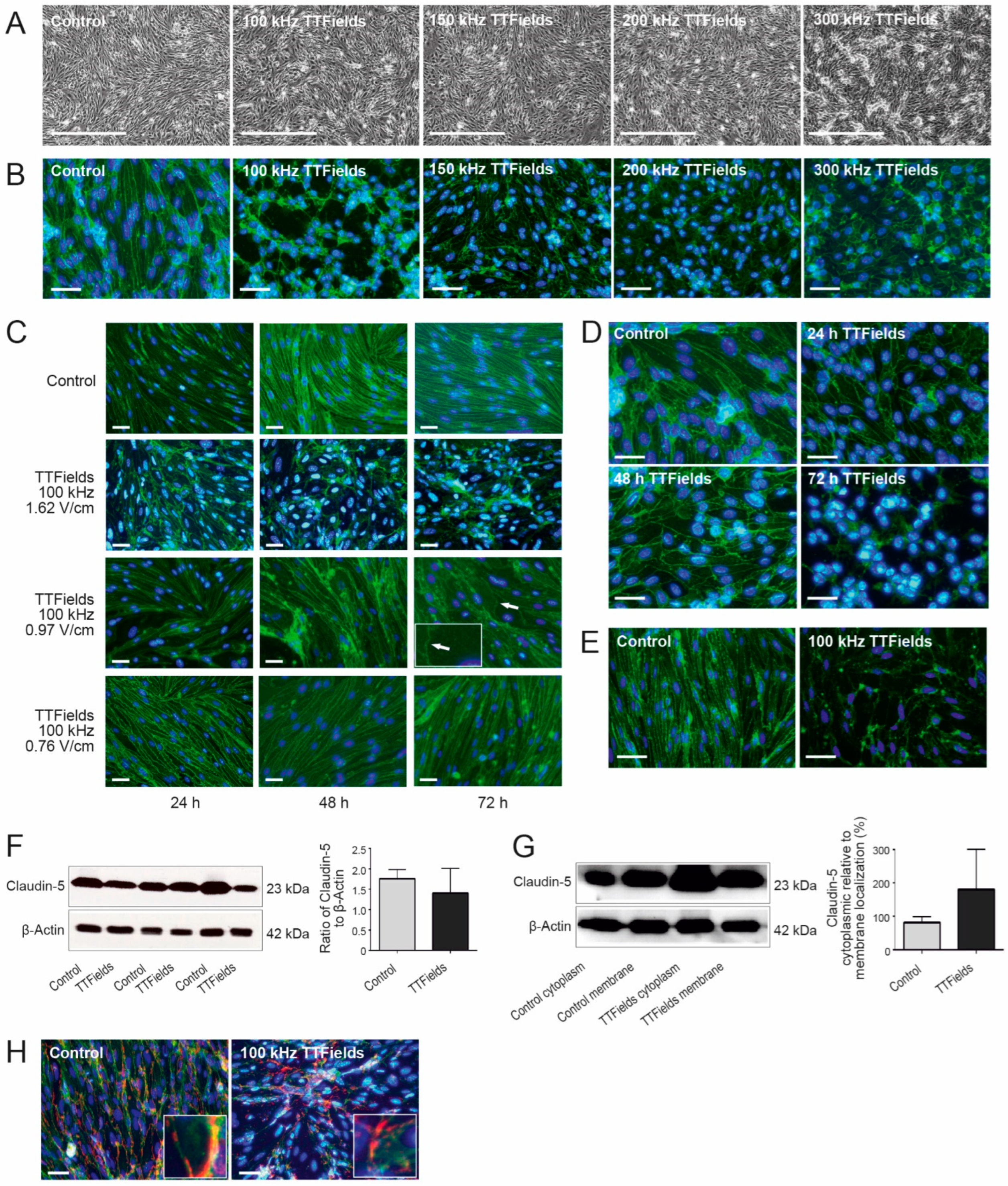 Biomolecules 12 01348 g001 Biomolecules 12 01348 g001