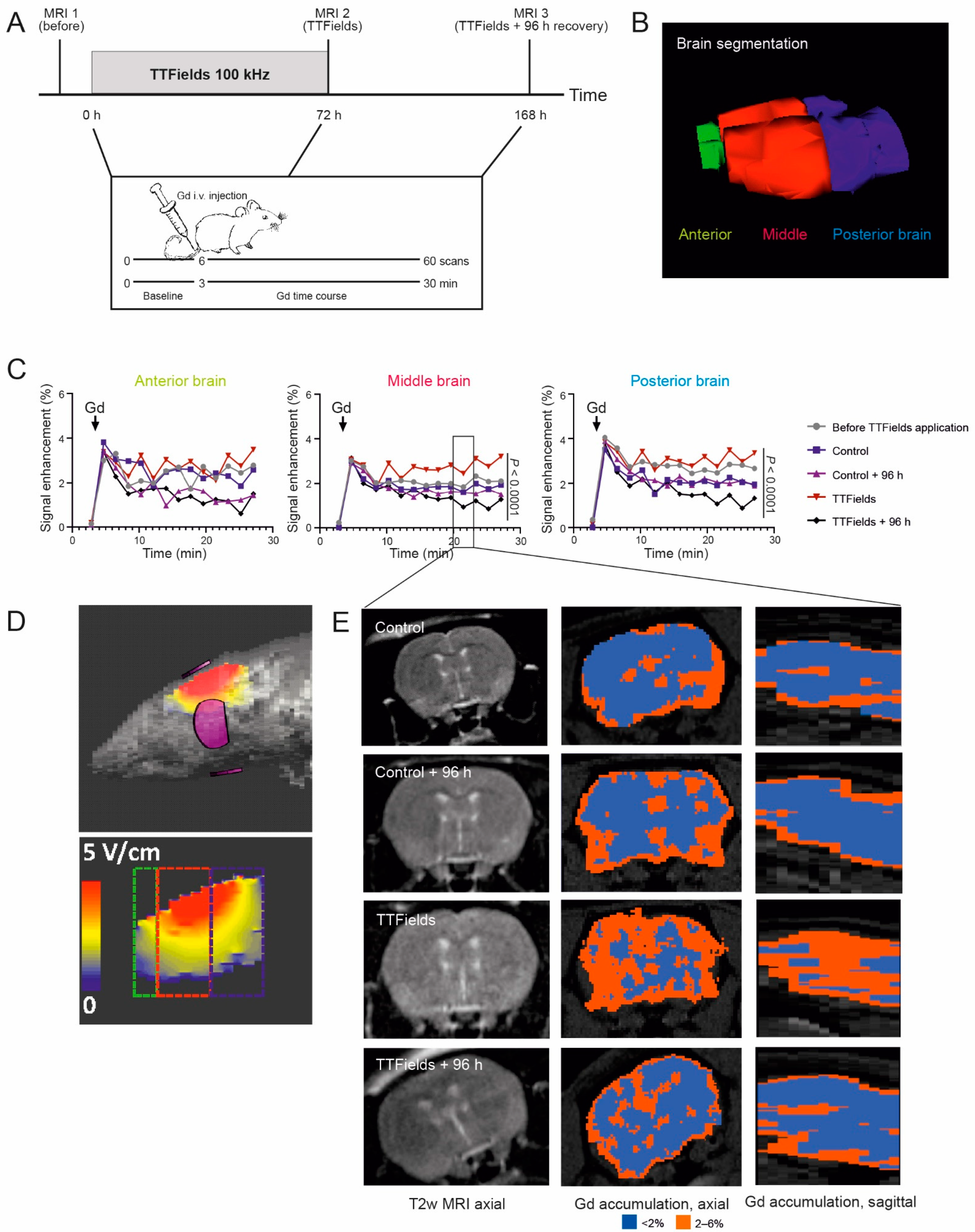 Biomolecules 12 01348 g005 Biomolecules 12 01348 g005
